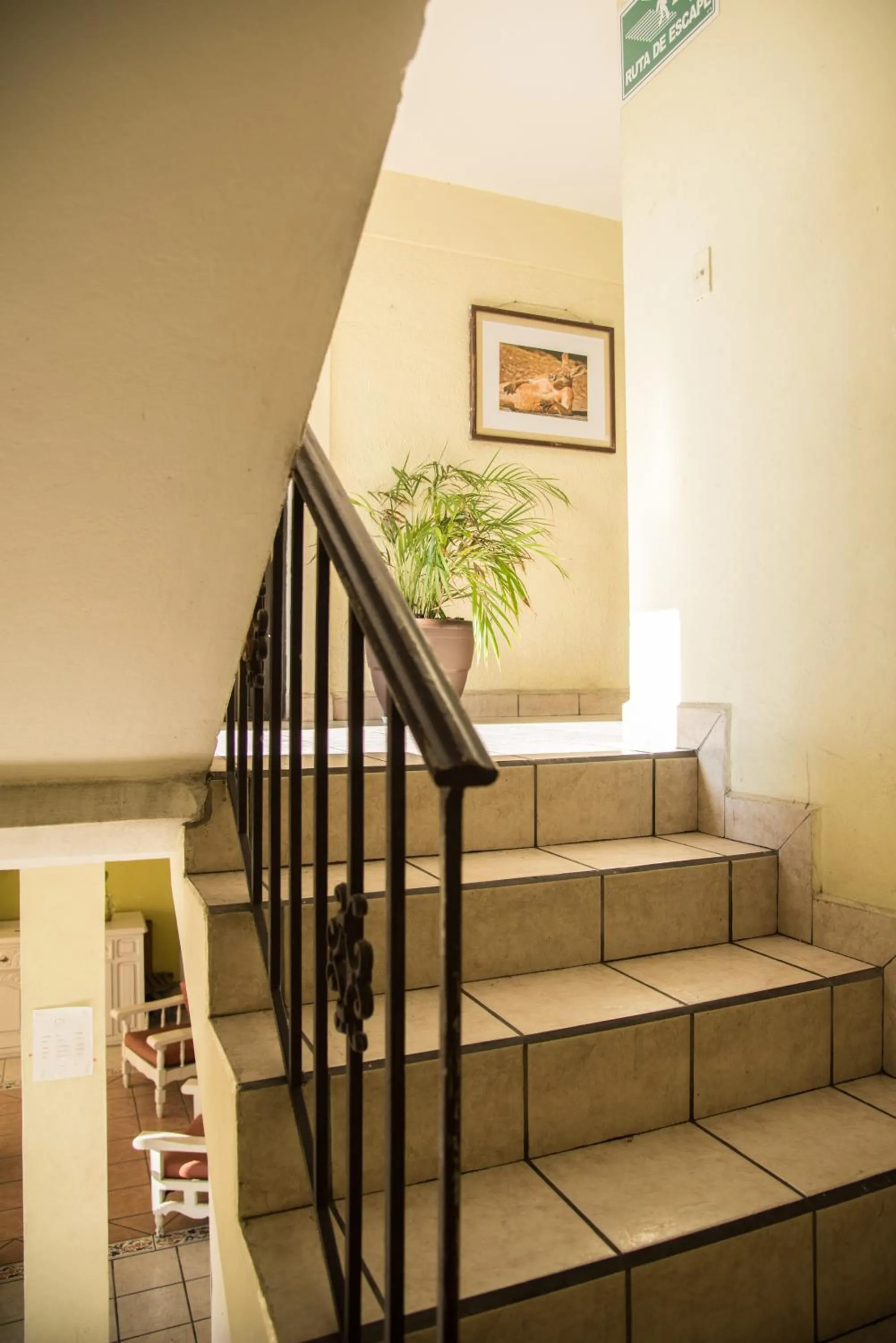 Area and facilities in Hotel Esperanza