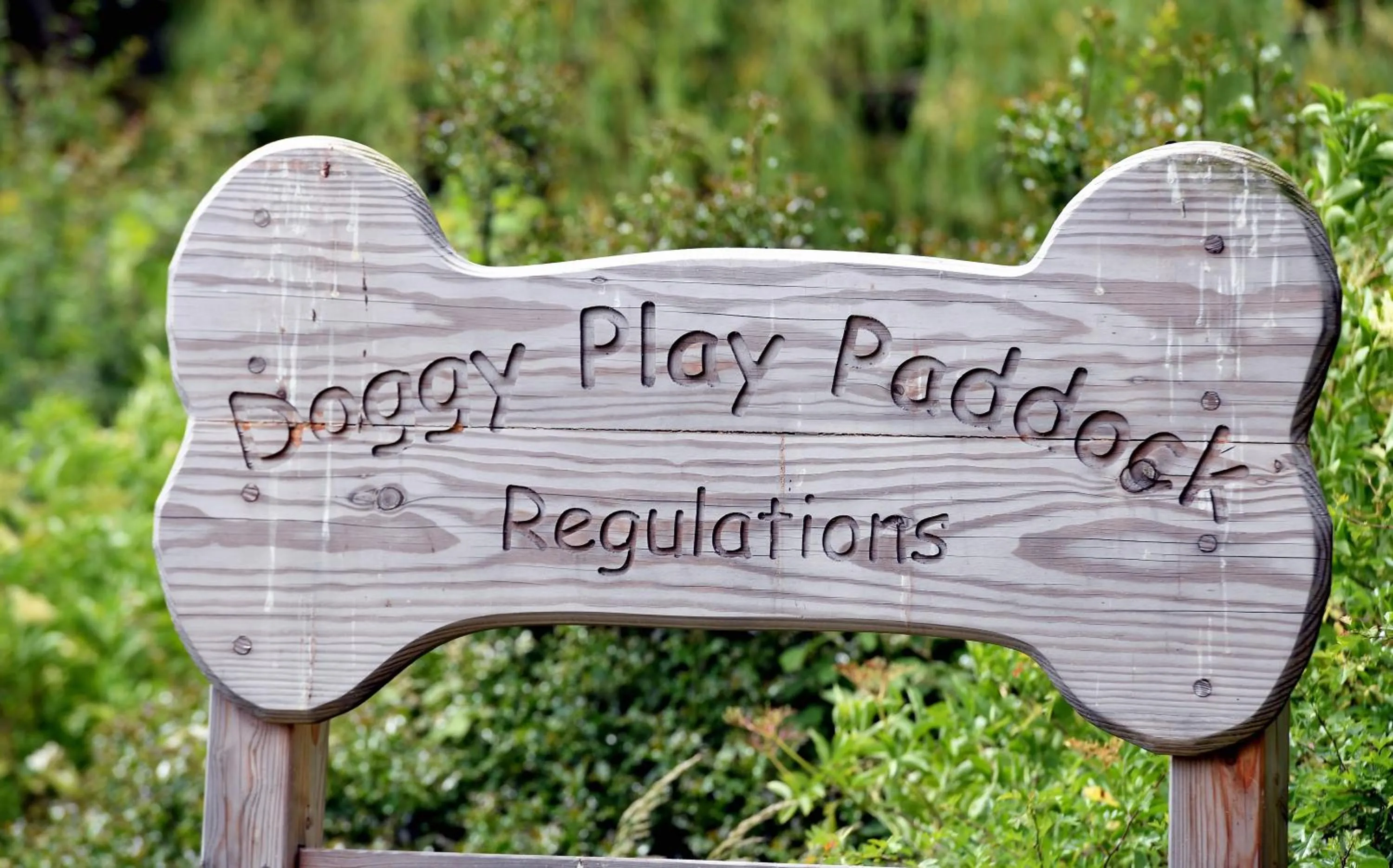 The Greyhound Inn and Hotel