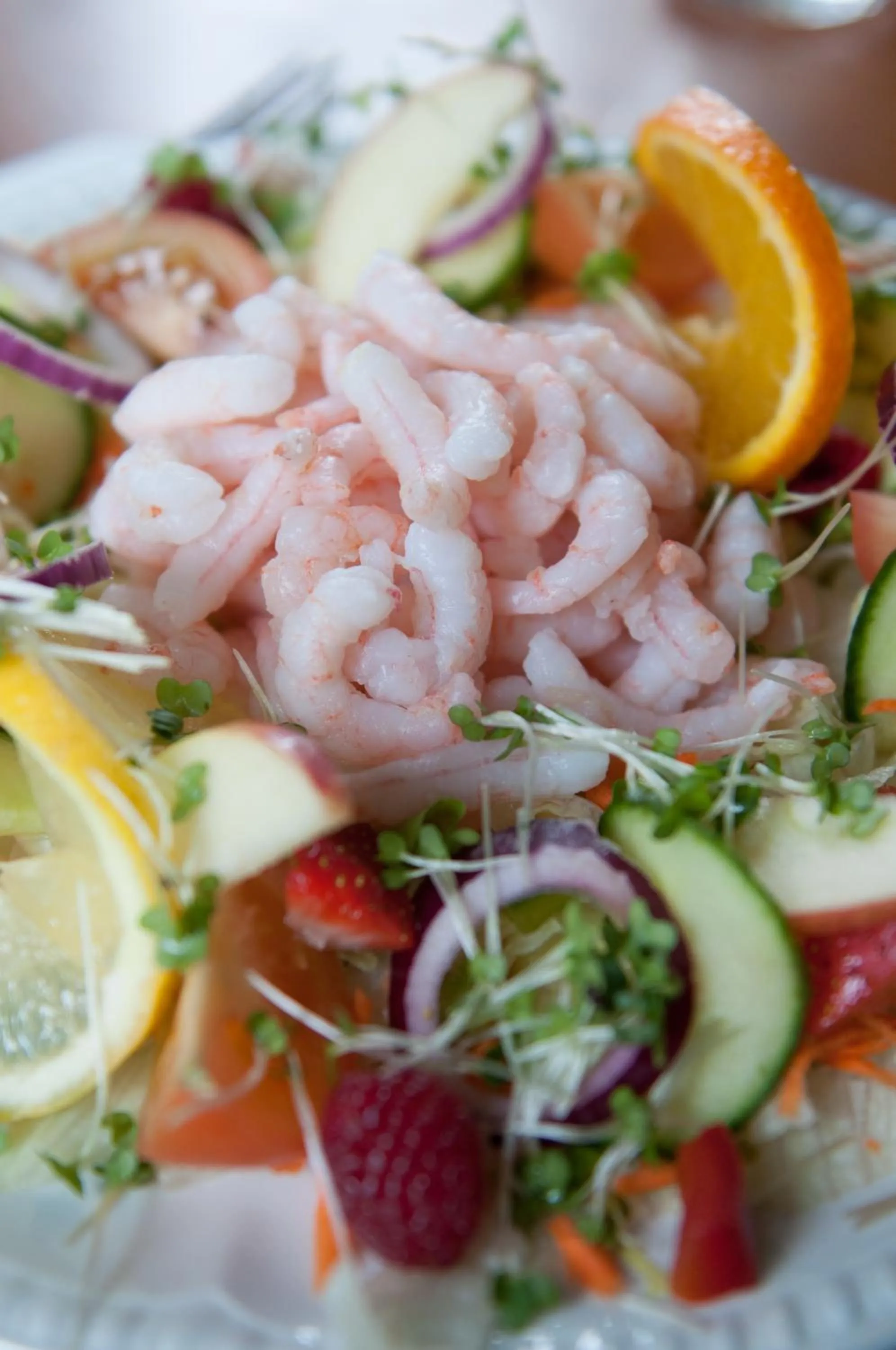 The Greyhound Inn and Hotel