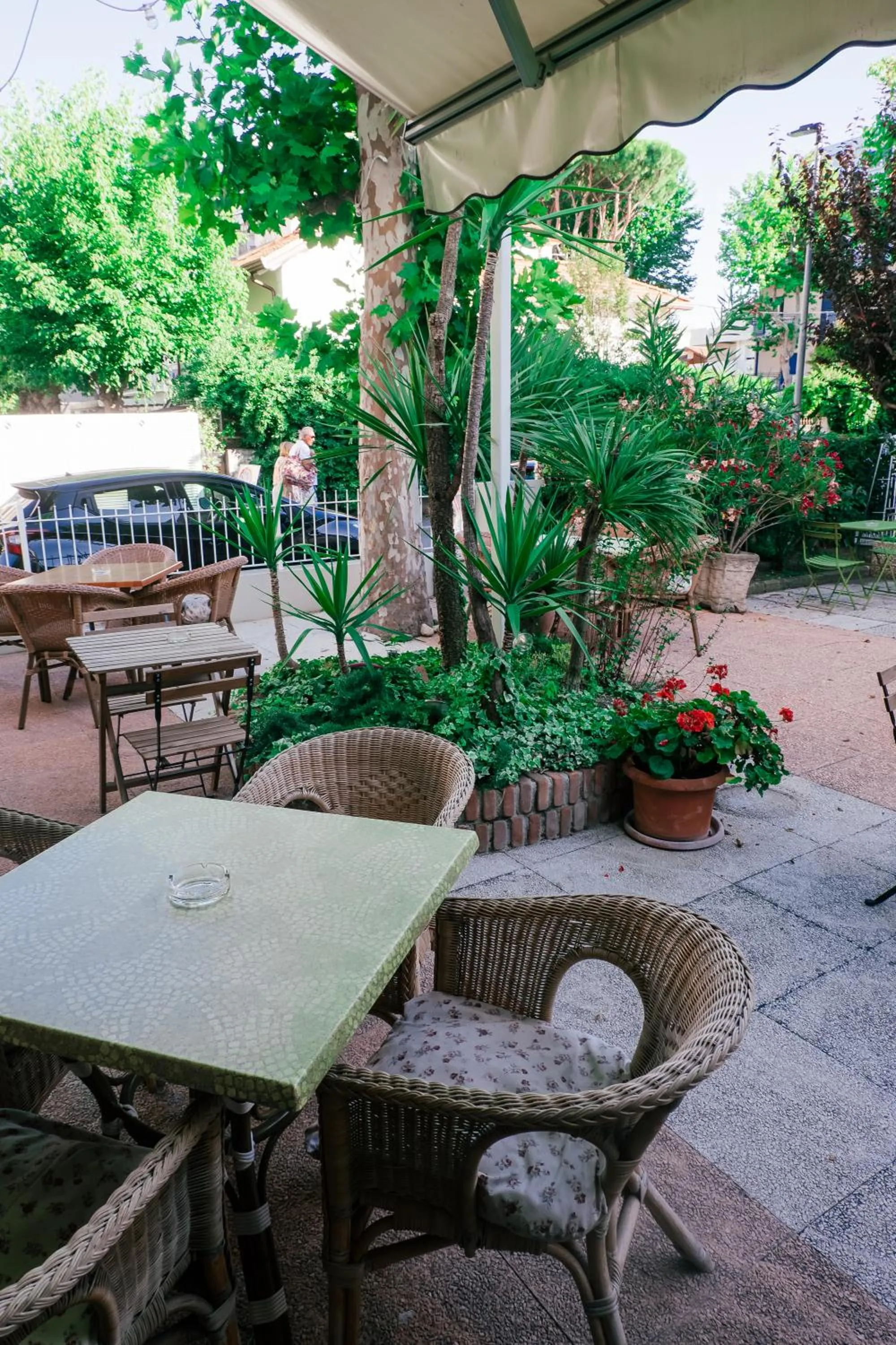 Garden in Hotel Jolie