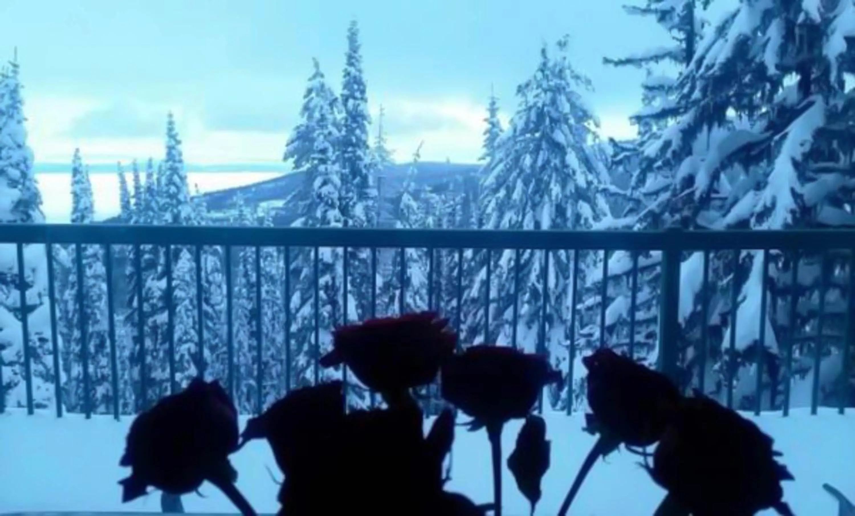 Mountain view in Vacation Homes by The Bulldog- Berker's Suite A