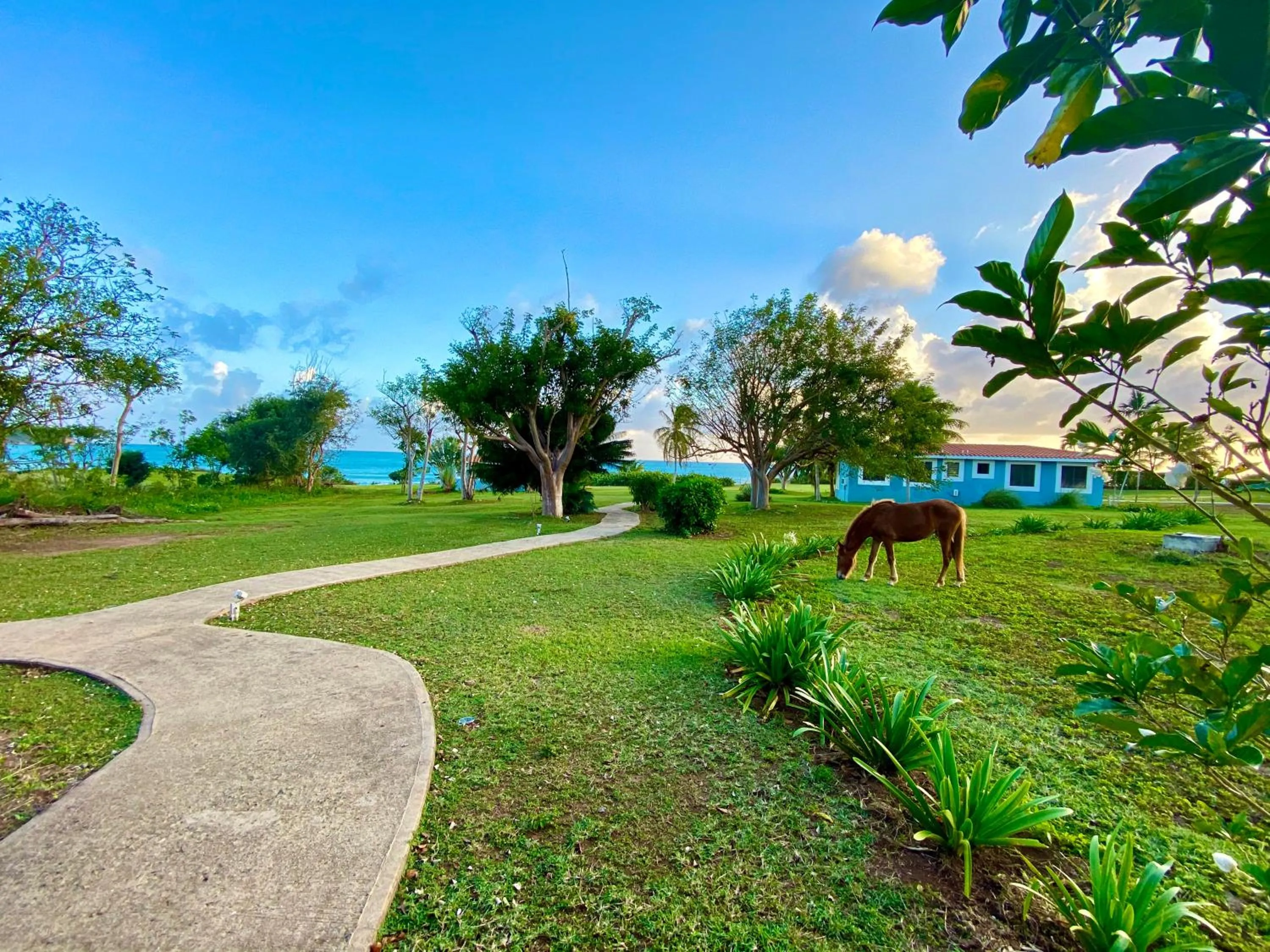 Blue Horizon Boutique Resort