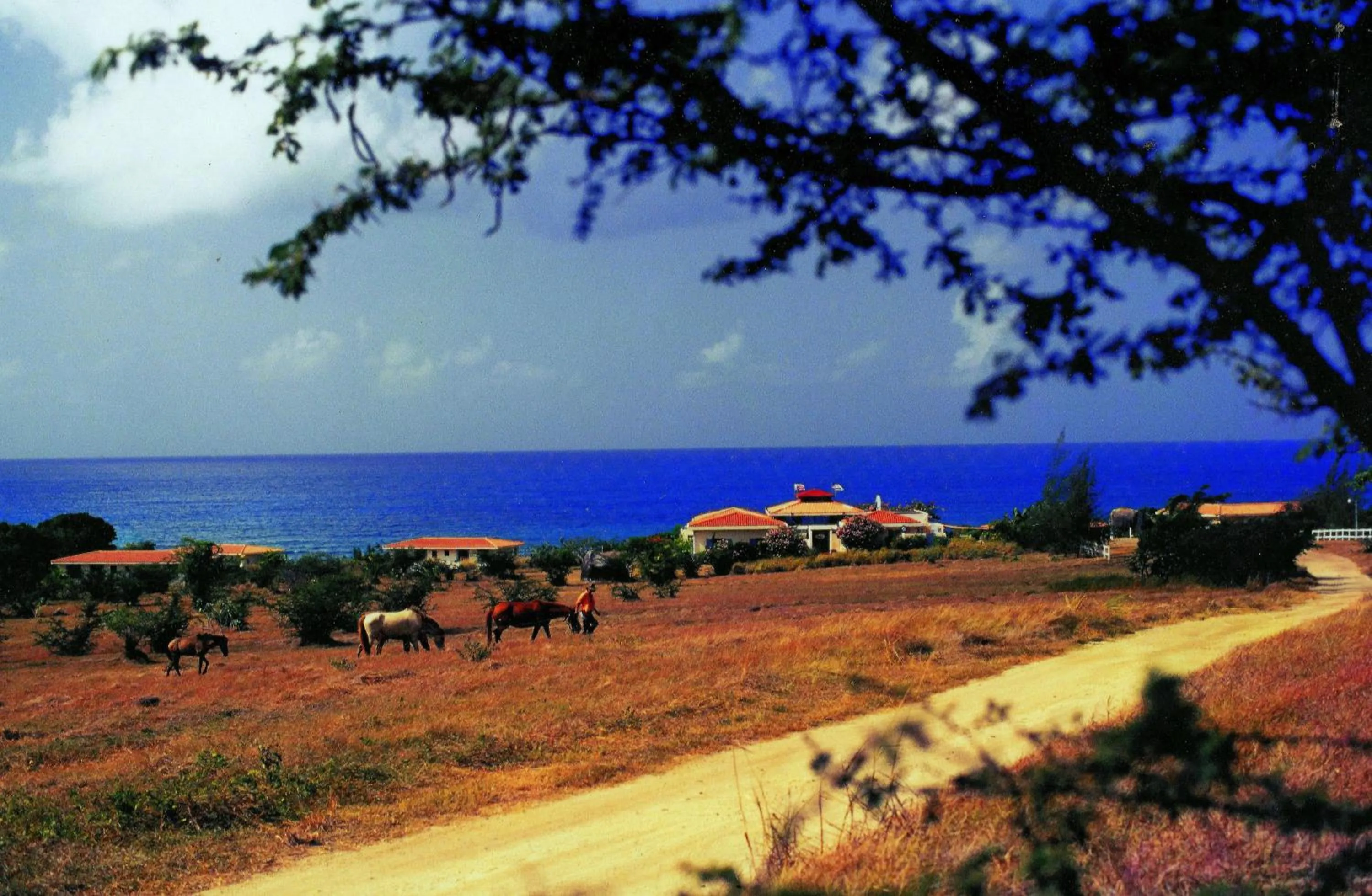 Area and facilities in Blue Horizon Boutique Resort