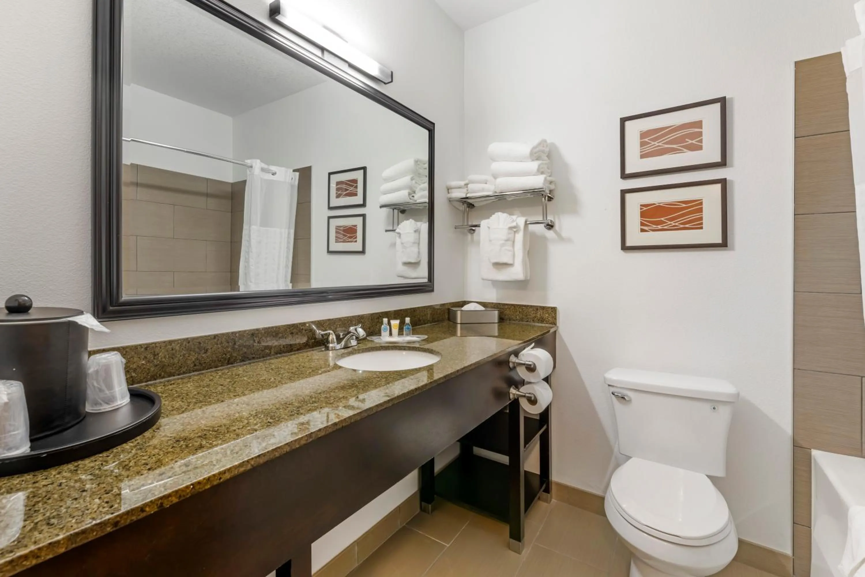 Bathroom in Comfort Suites Near Vancouver Mall