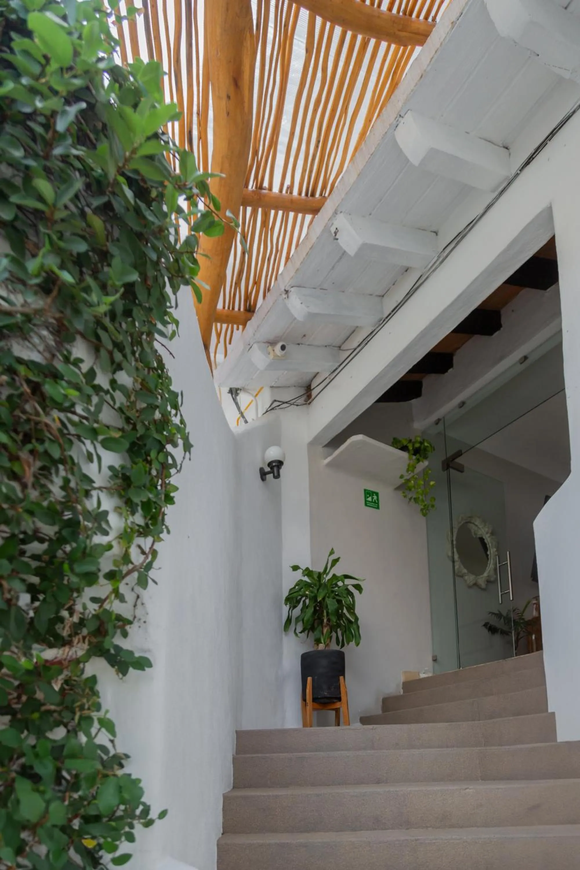 Facade/entrance in Hotel Amaca Puerto Vallarta - Adults Only