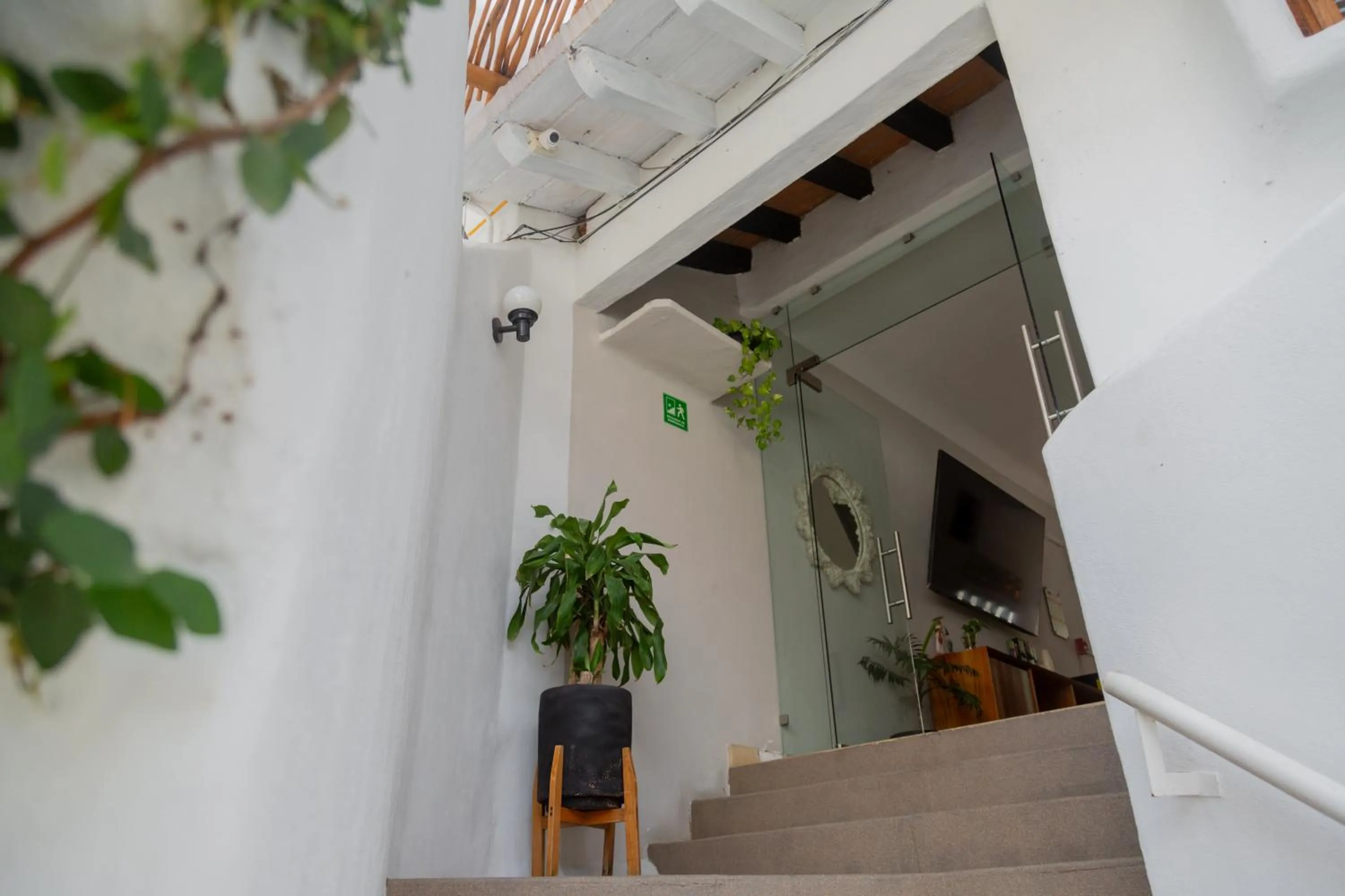 Facade/entrance in Hotel Amaca Puerto Vallarta - Adults Only