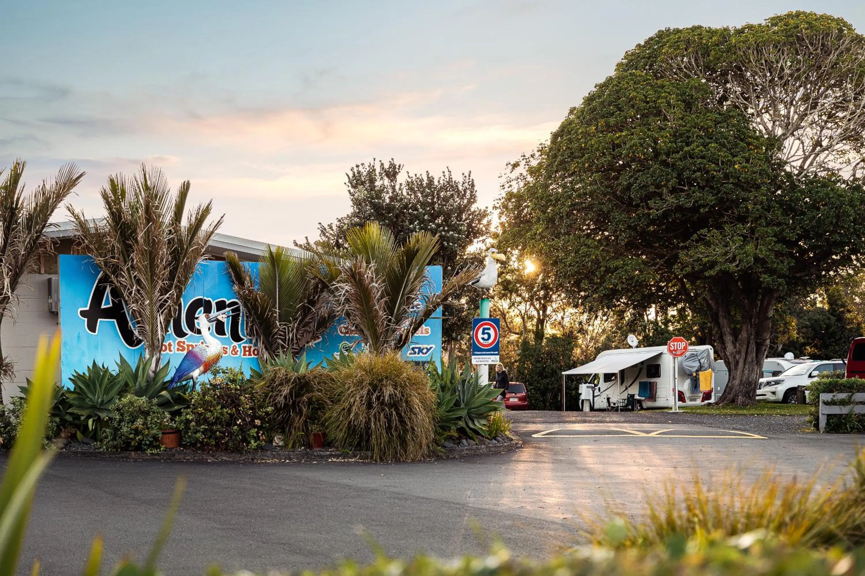 Property logo or sign in Athenree Hot Springs & Holiday Park