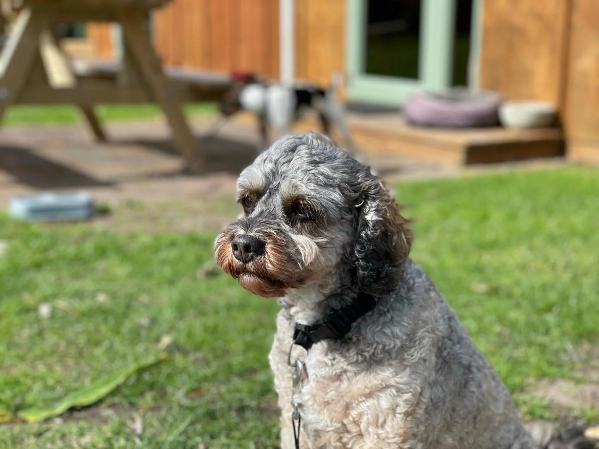 Animals in Athenree Hot Springs & Holiday Park