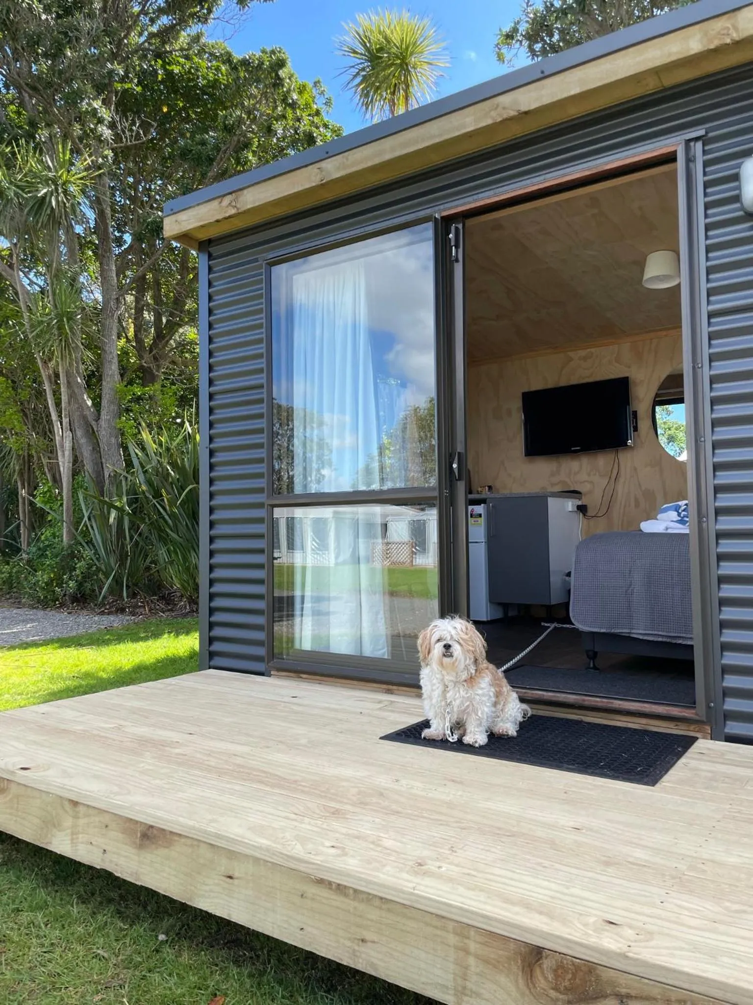 Patio in Athenree Hot Springs & Holiday Park