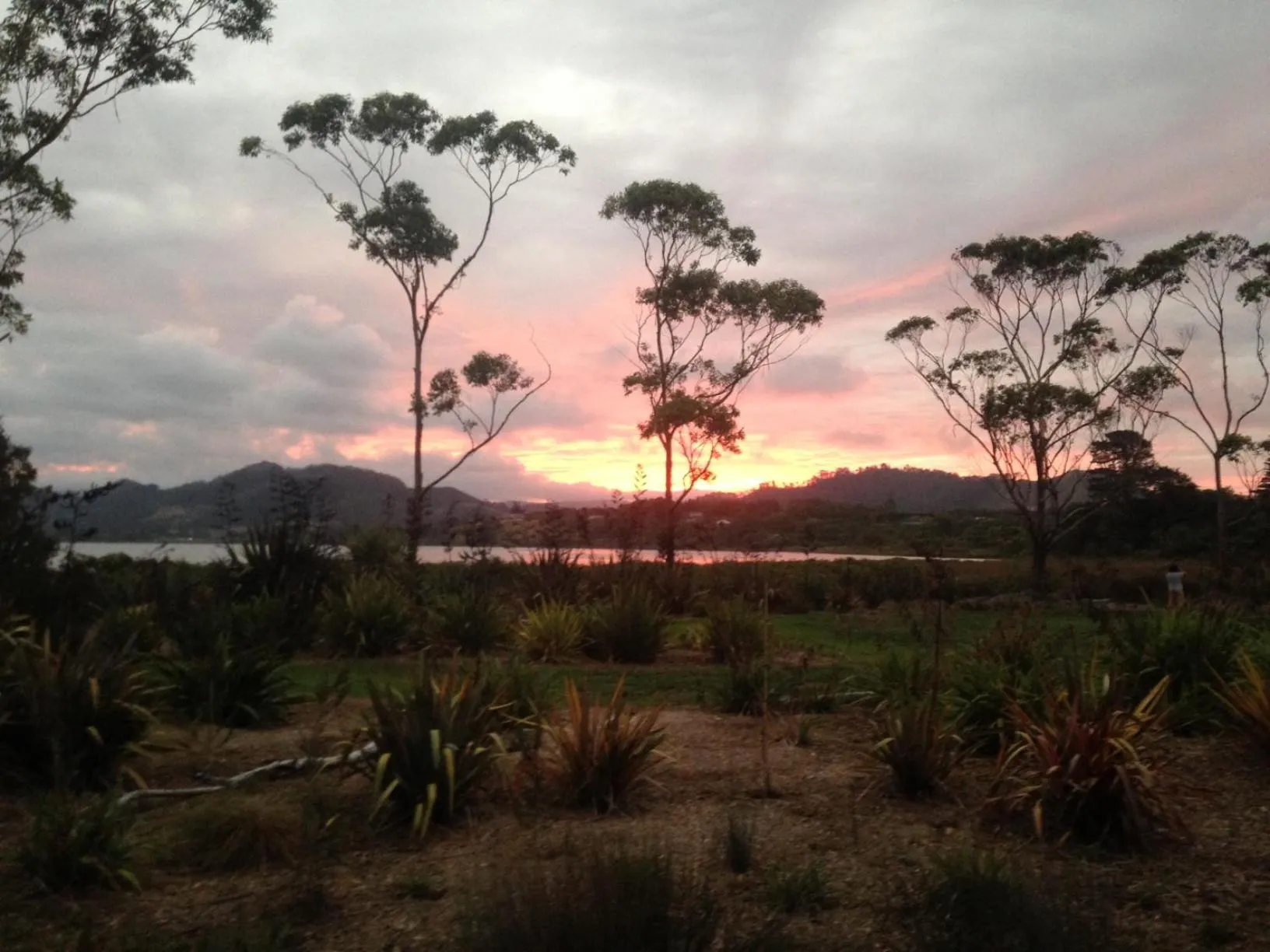 Garden in Athenree Hot Springs & Holiday Park