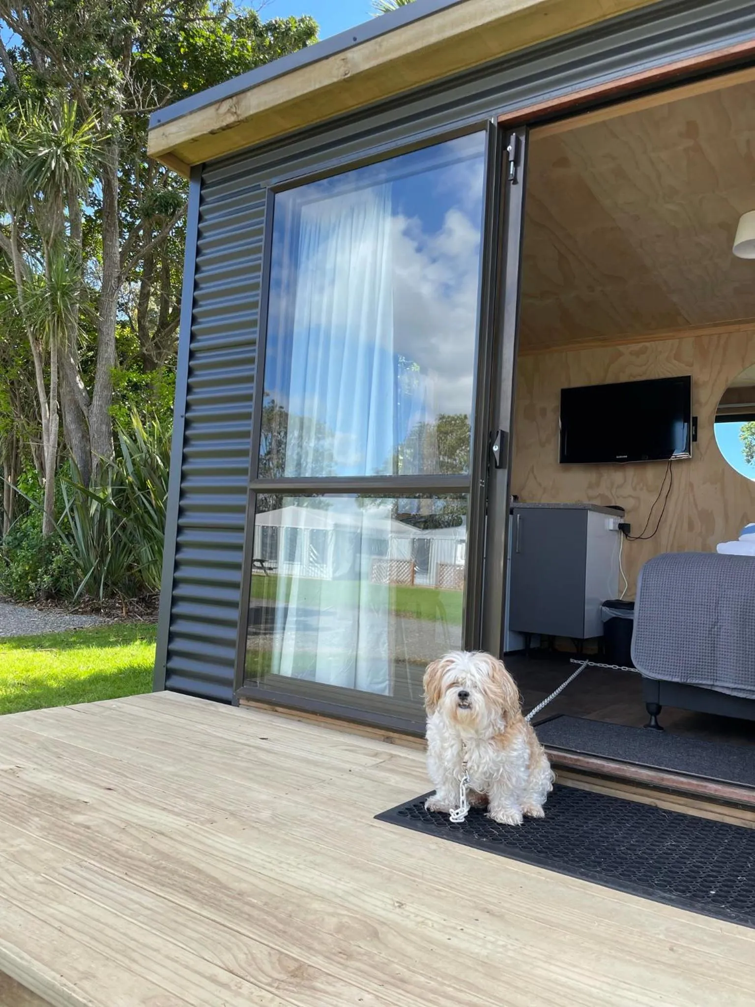 Pets in Athenree Hot Springs & Holiday Park