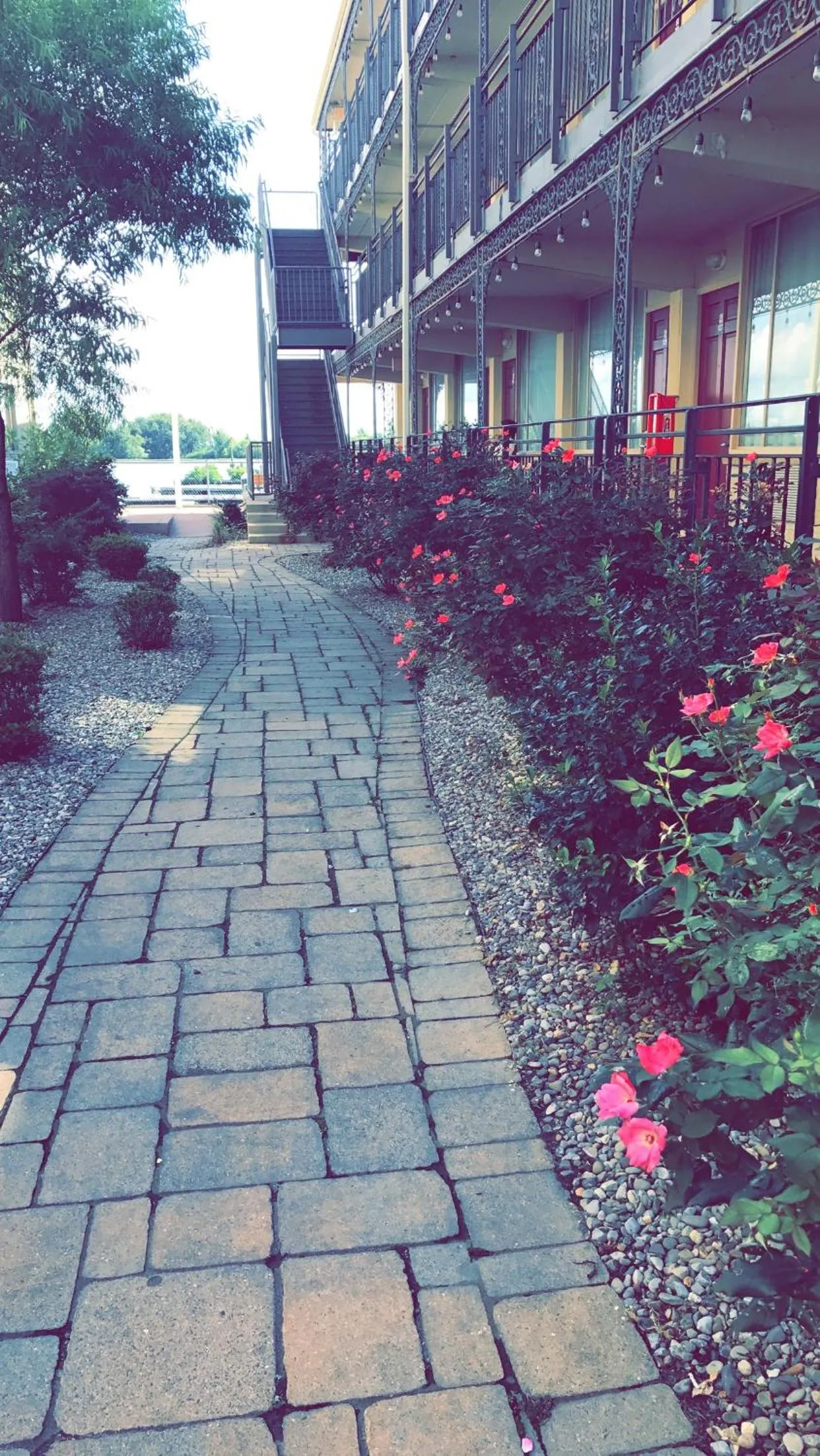 Area and facilities in Waterfront Inn PHL Airport