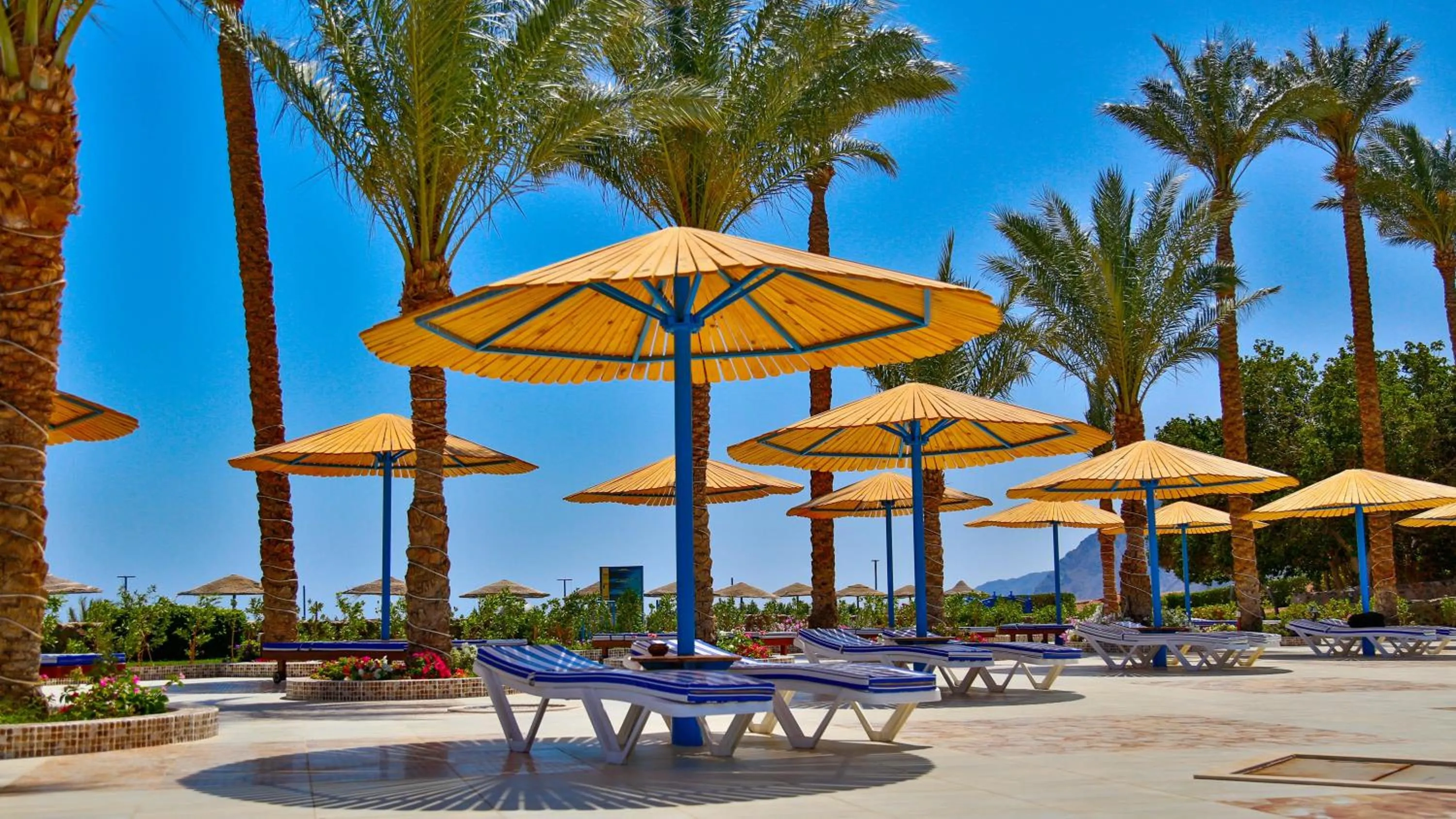 Balcony/Terrace in Ecotel Dahab Bay View Resort