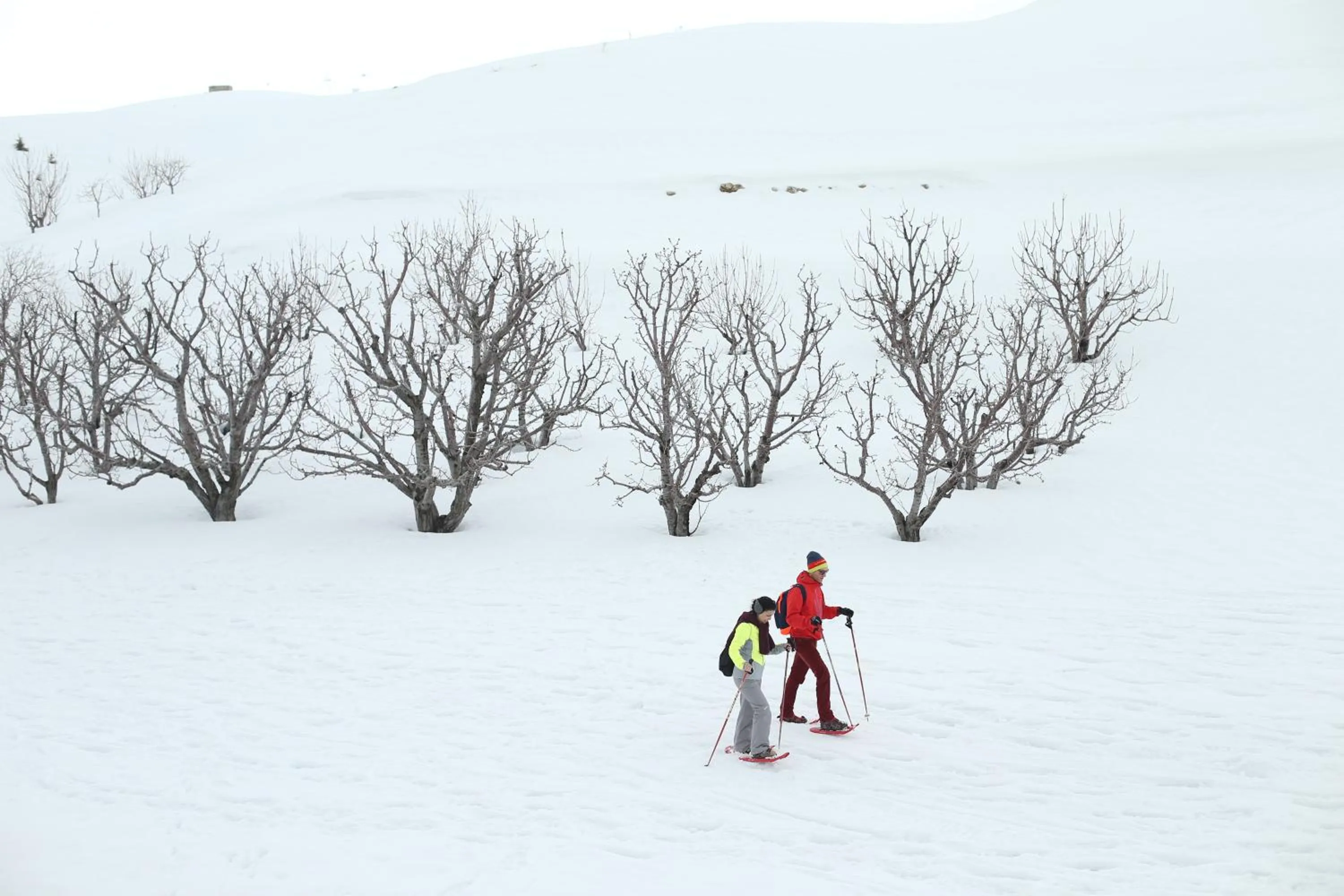 Day in Le Cedrus Hotel