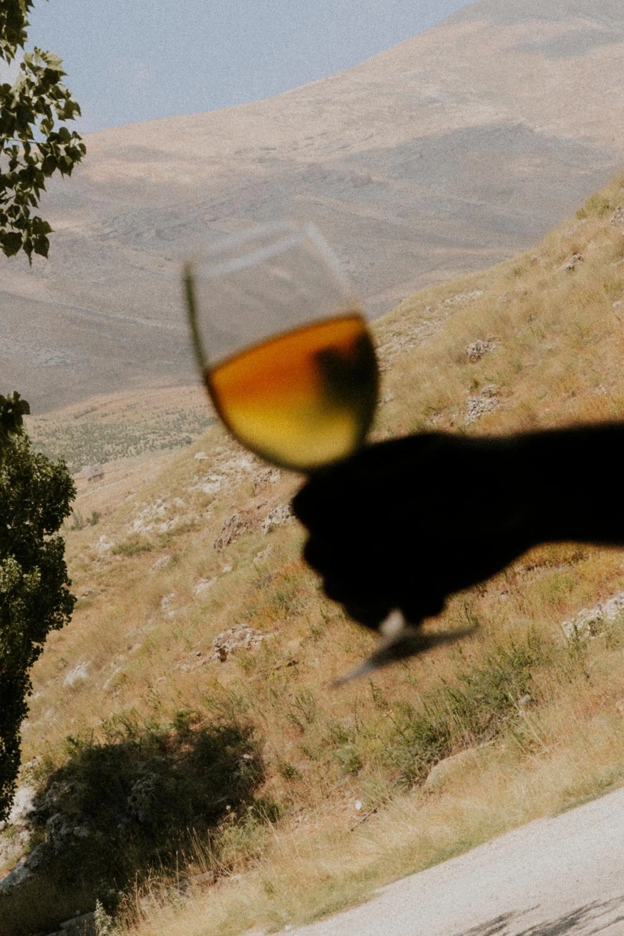 Food and drinks in Le Cedrus Hotel