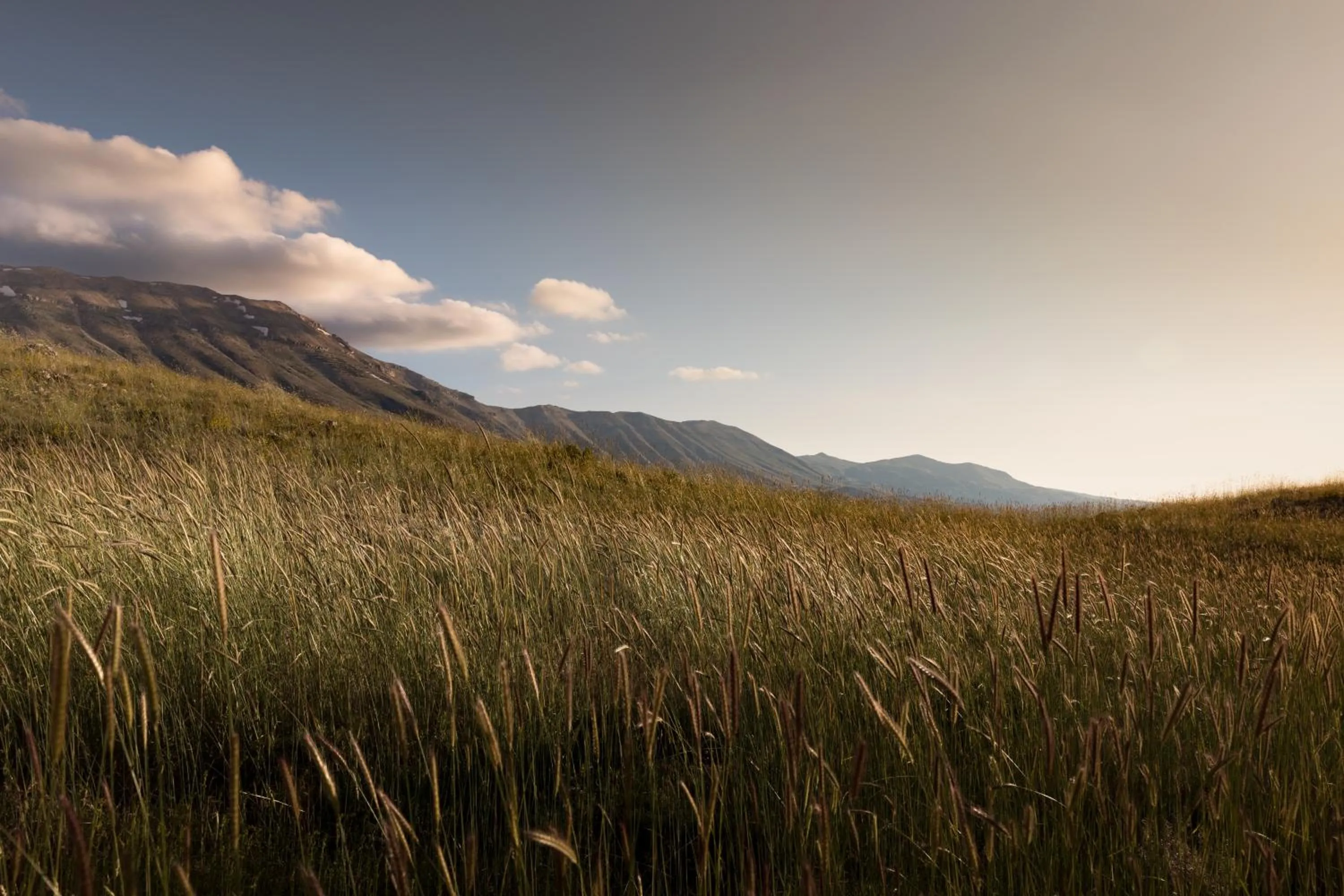 Spring in Le Cedrus Hotel