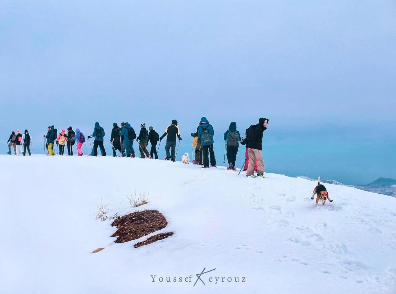 Day in Le Cedrus Hotel