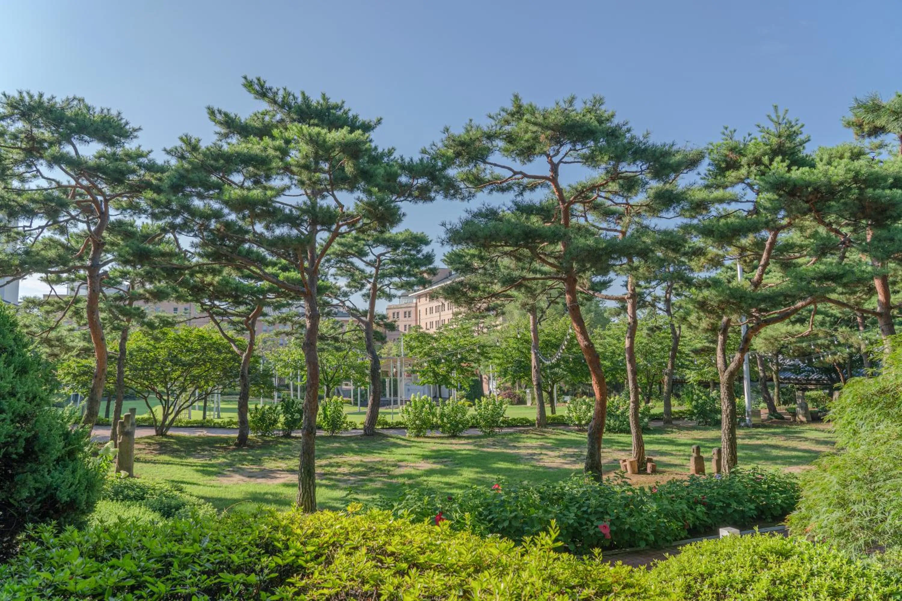 Garden in Mayfield Hotel Seoul