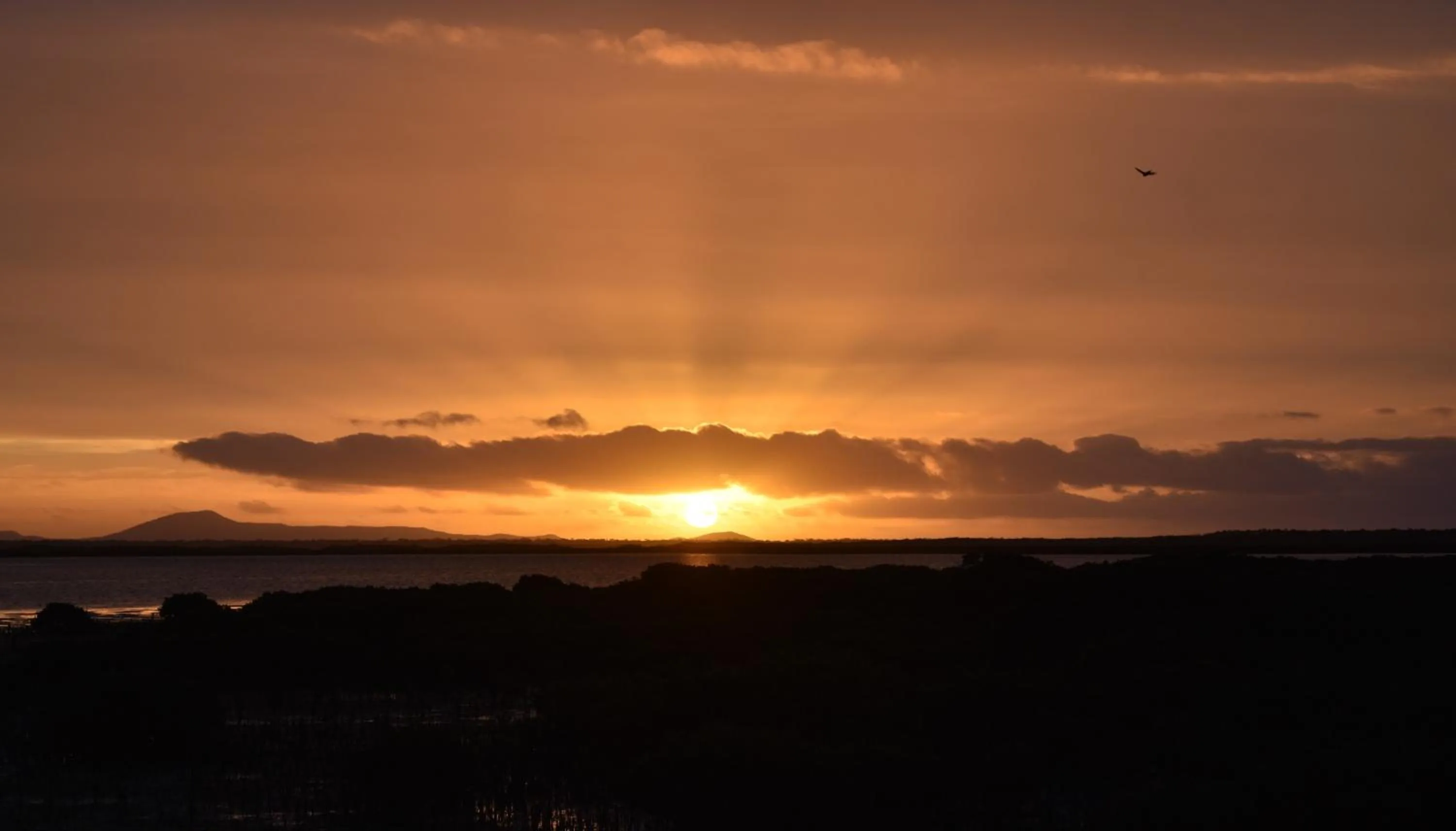 Other in Port Albert Motel