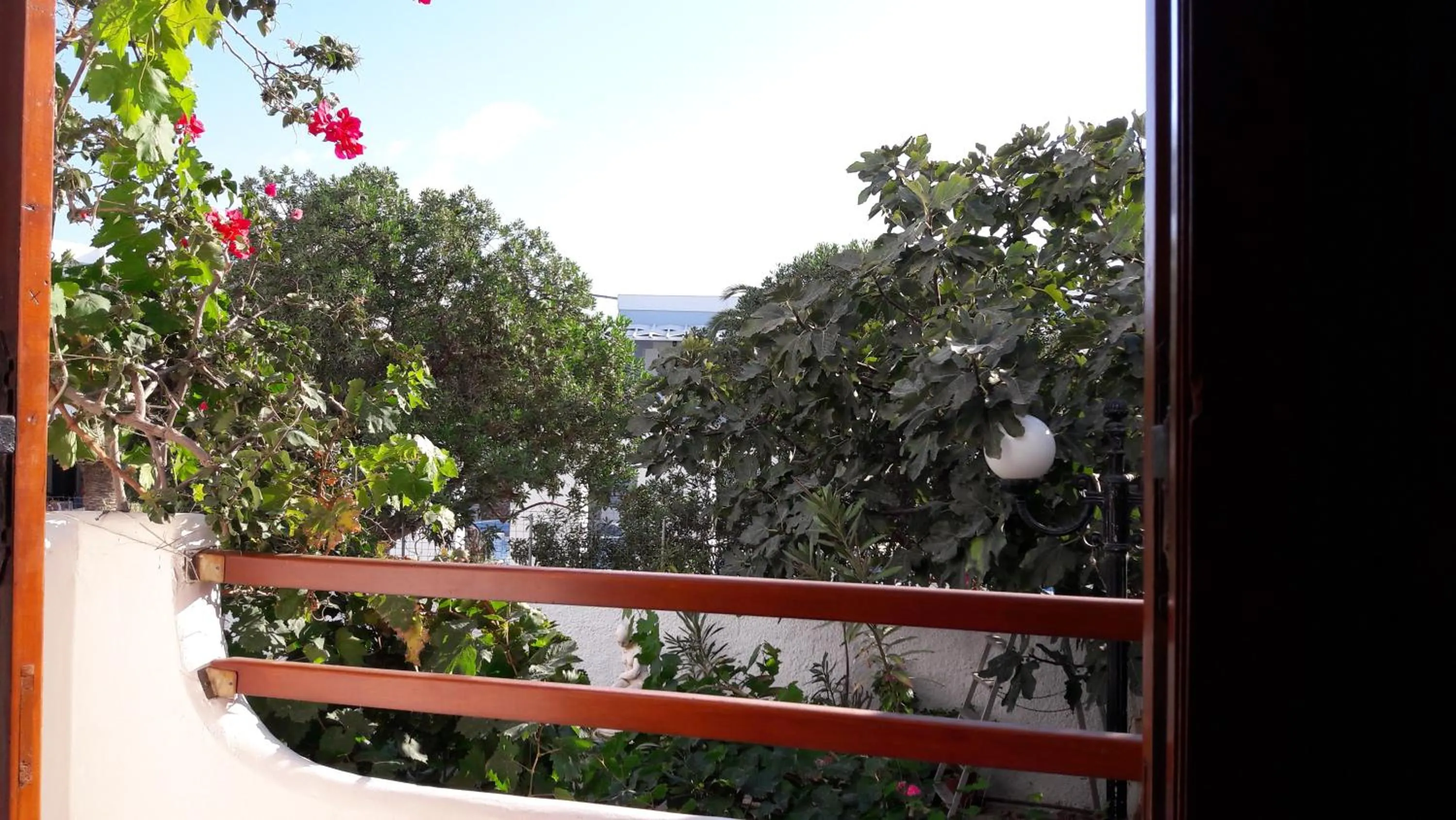 Garden view in Maistrali