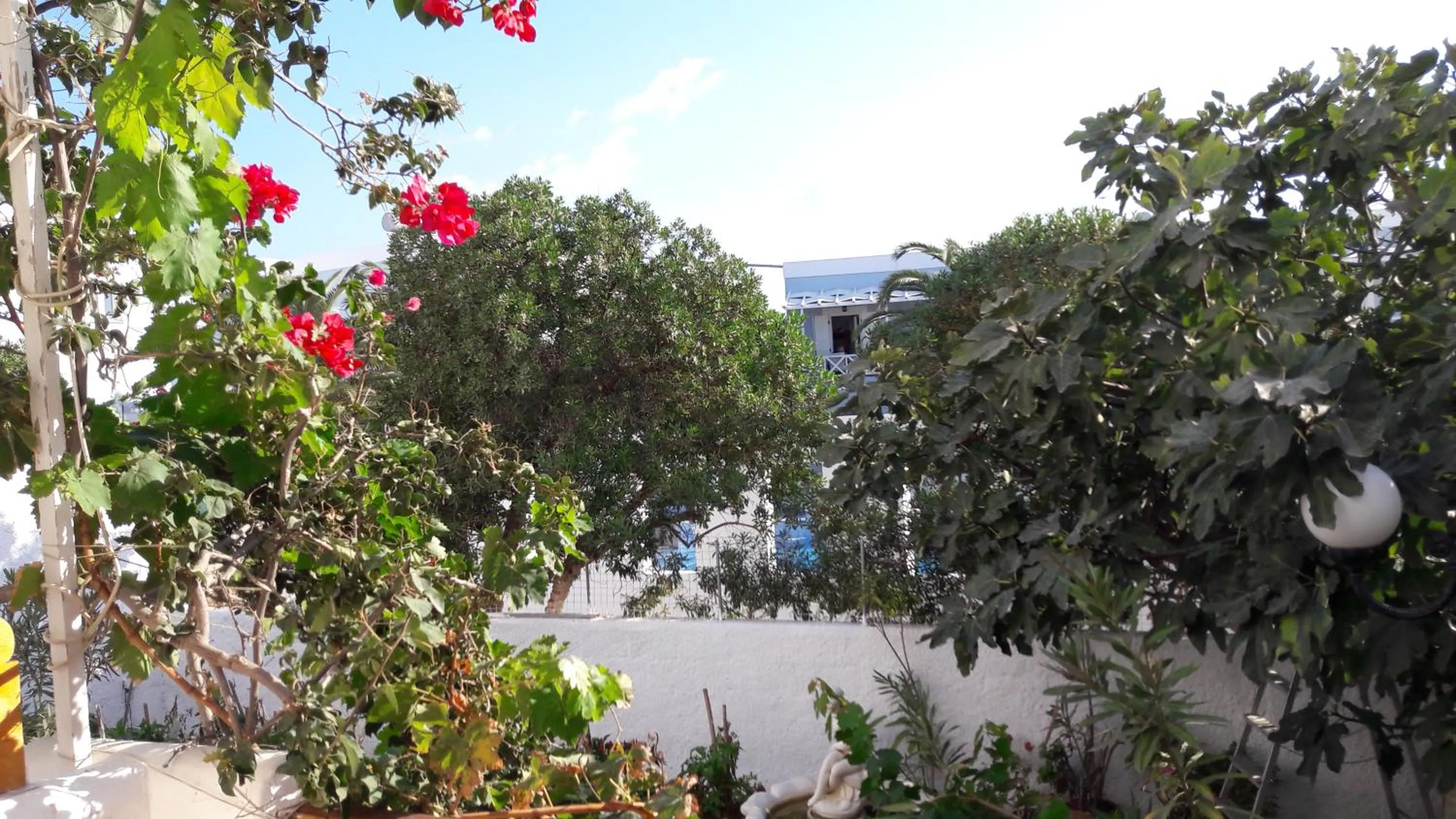 Garden view in Maistrali