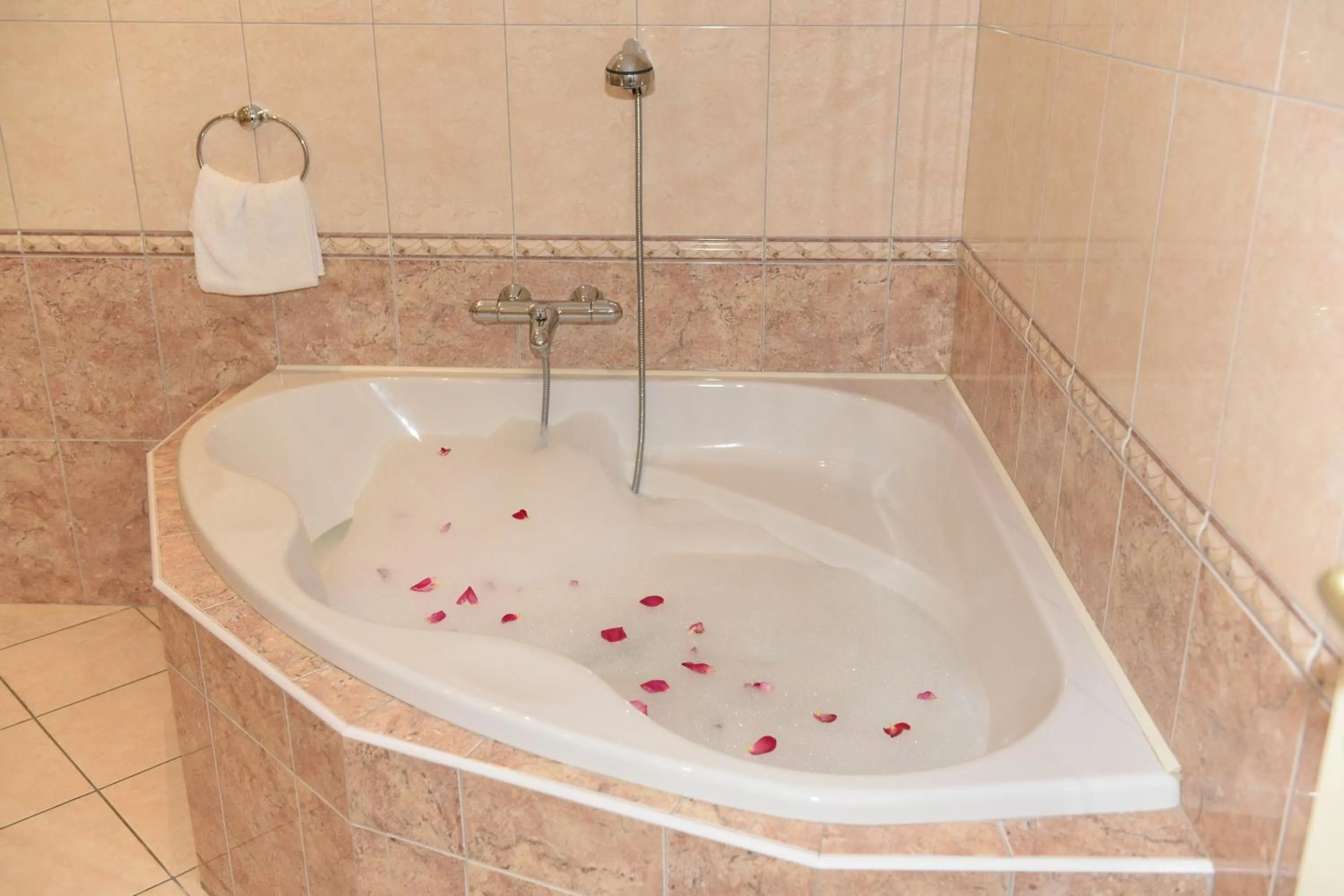 Hôtel Normandie Spa