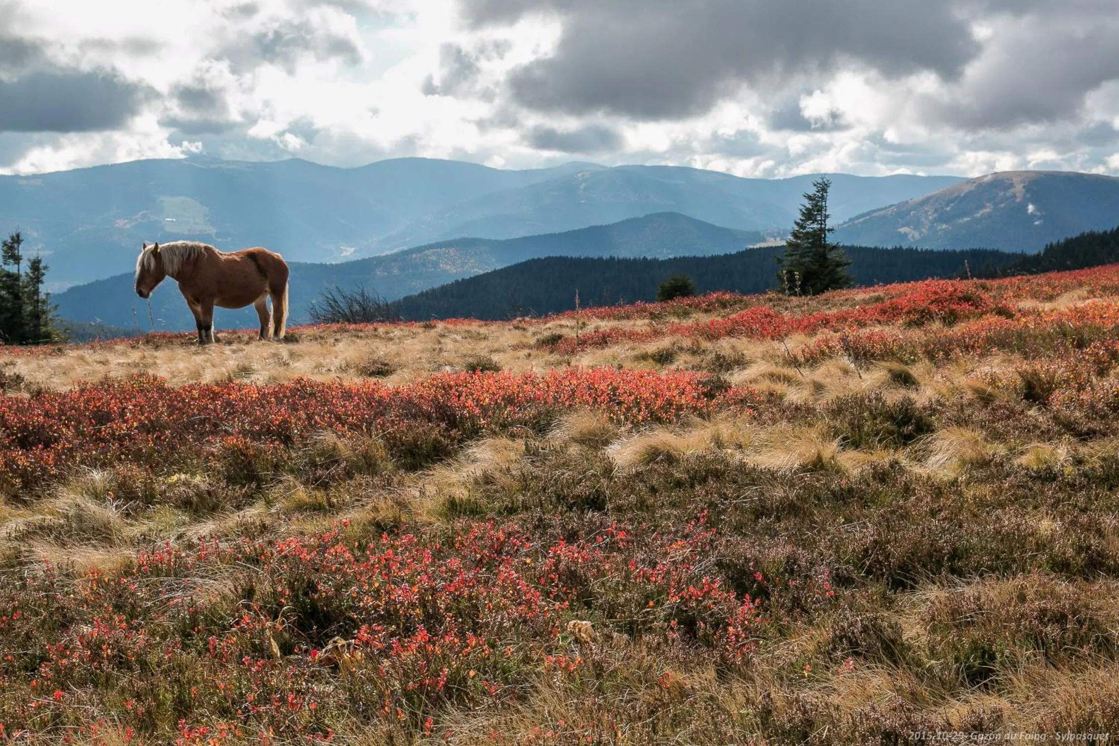 Natural landscape in ibis Saint-Die