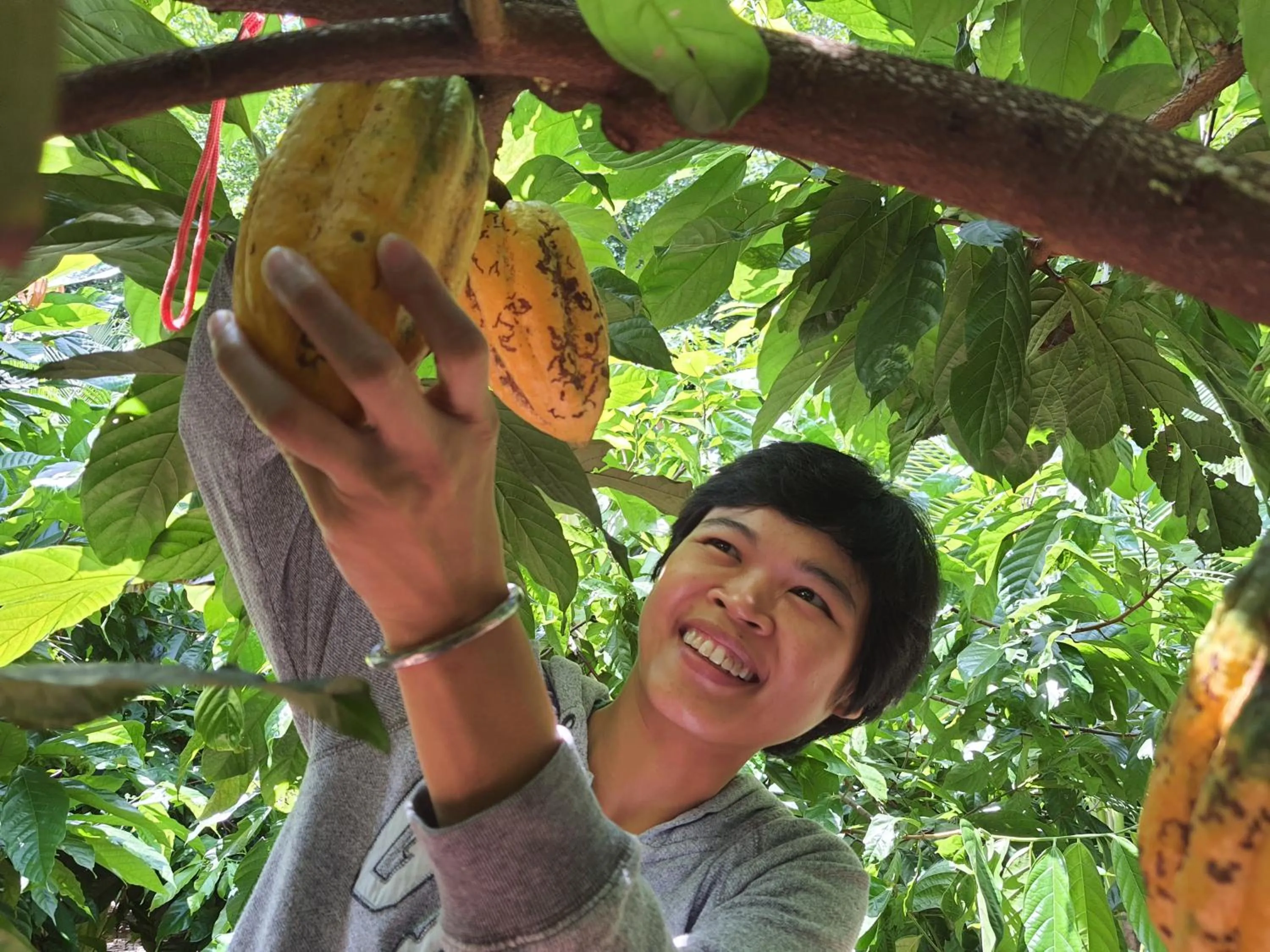 Saengcha Farm Resort