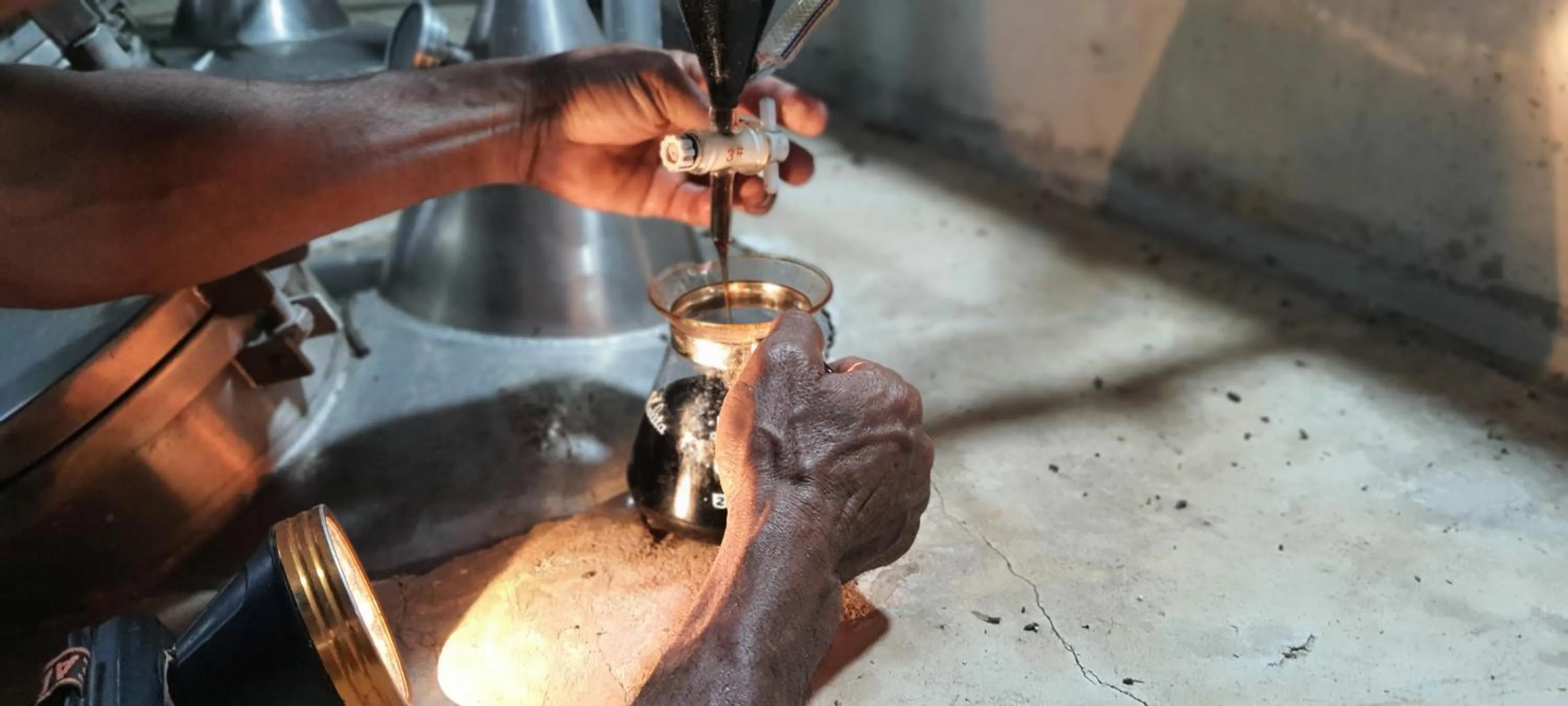 Saengcha Farm Resort