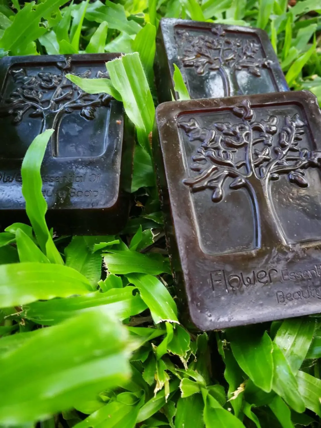 Saengcha Farm Resort