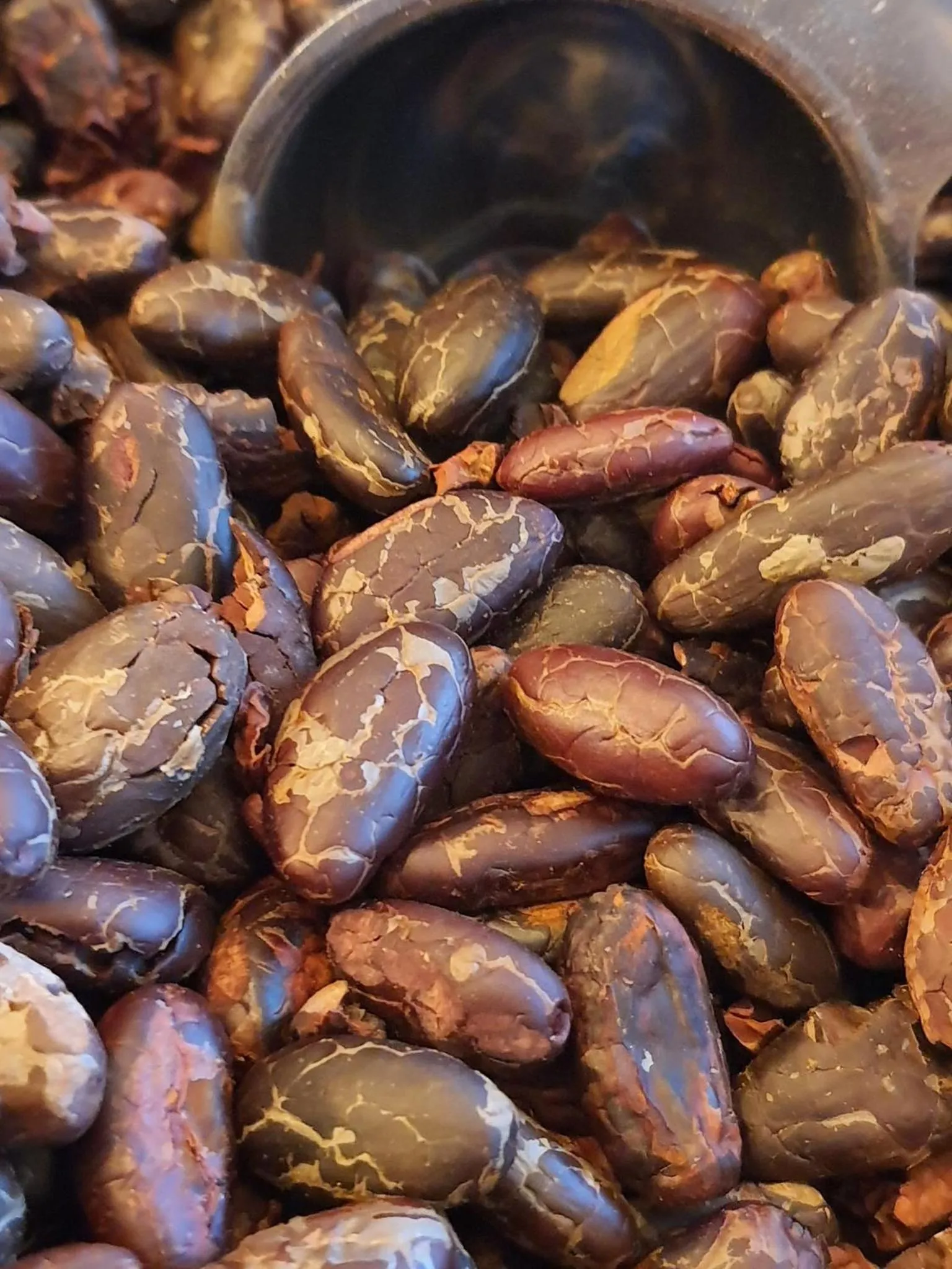 Saengcha Farm Resort