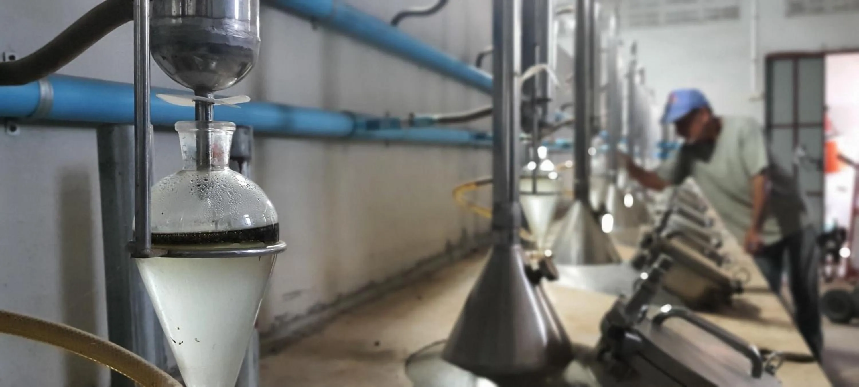 Saengcha Farm Resort