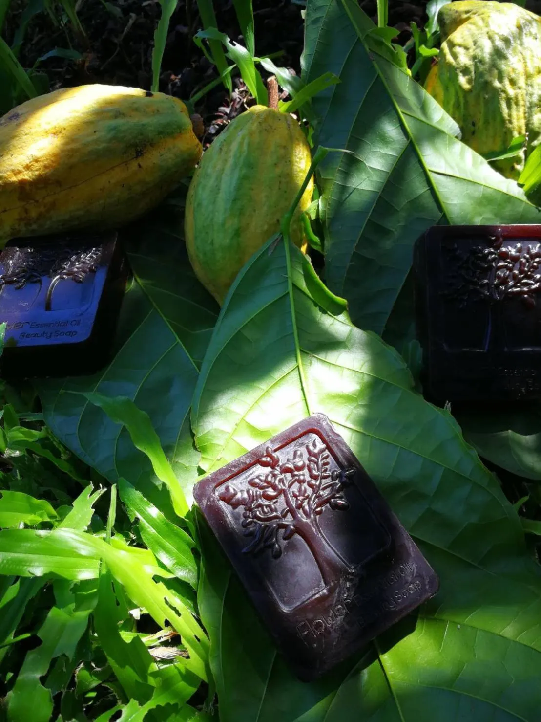 Saengcha Farm Resort