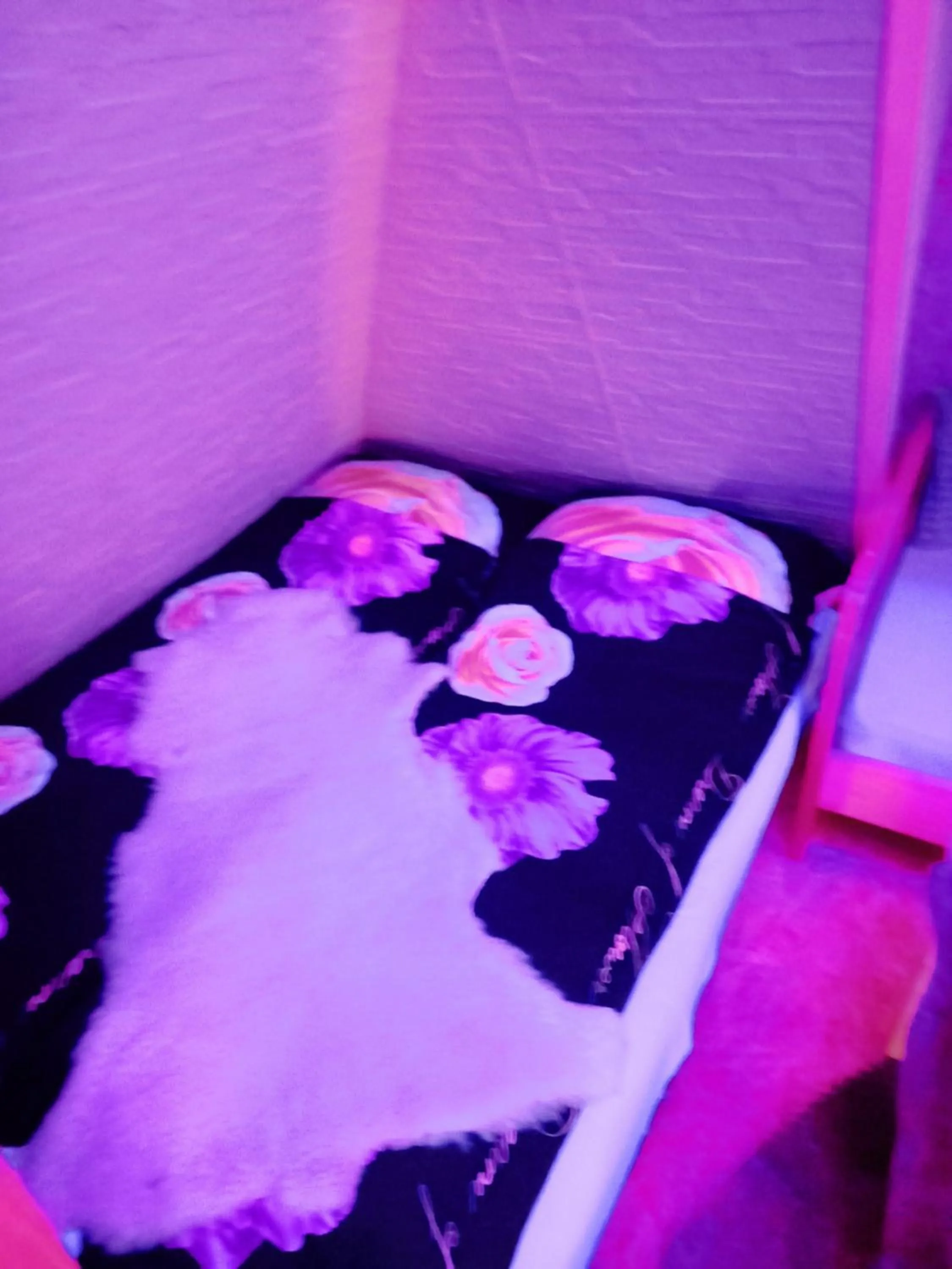 Bedroom in Holiday Home Nature Neno