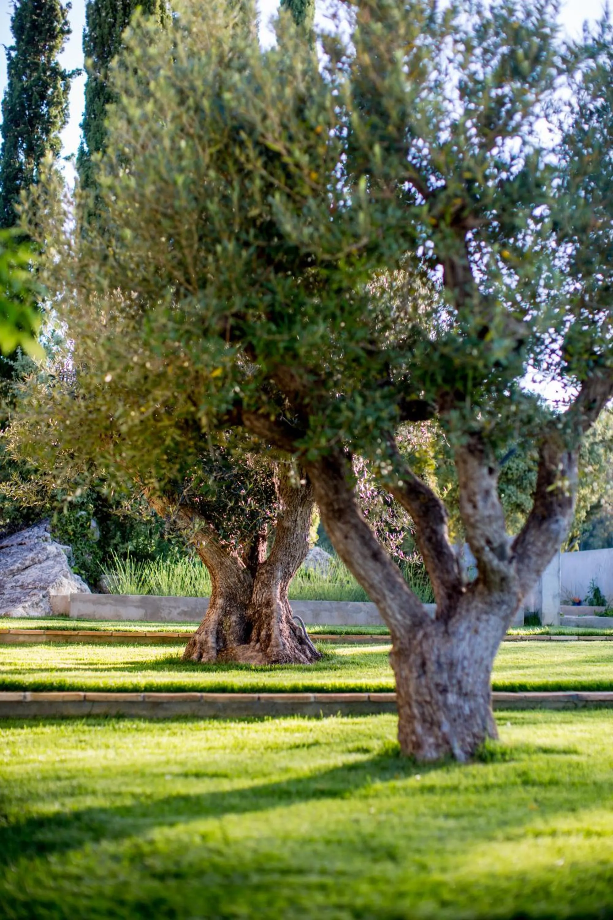 Garden in Domaine Monte Verdi