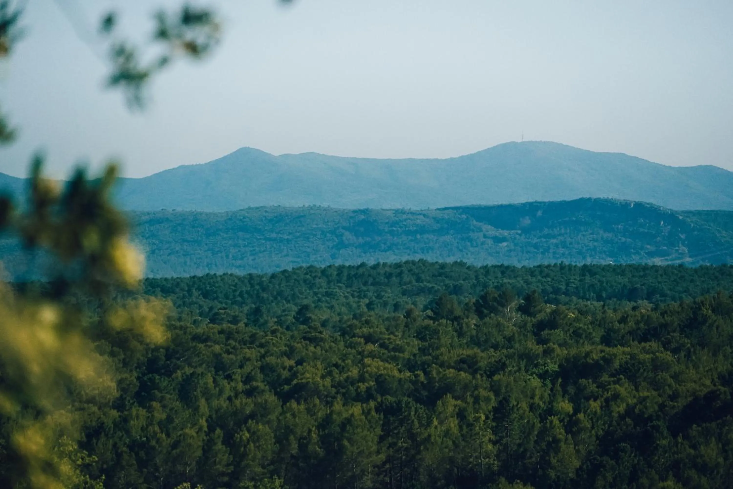 Natural landscape in Domaine Monte Verdi