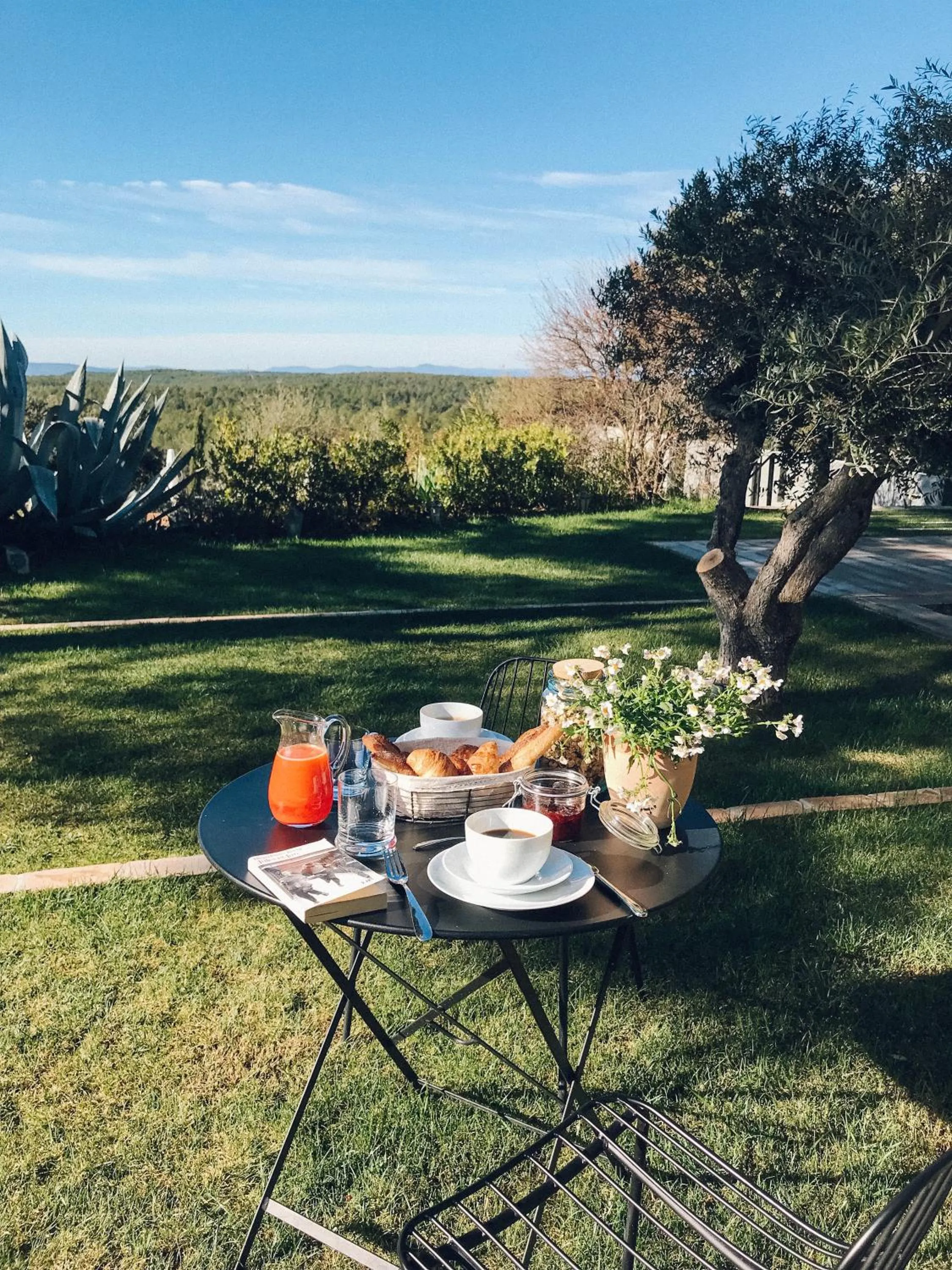 Breakfast in Domaine Monte Verdi