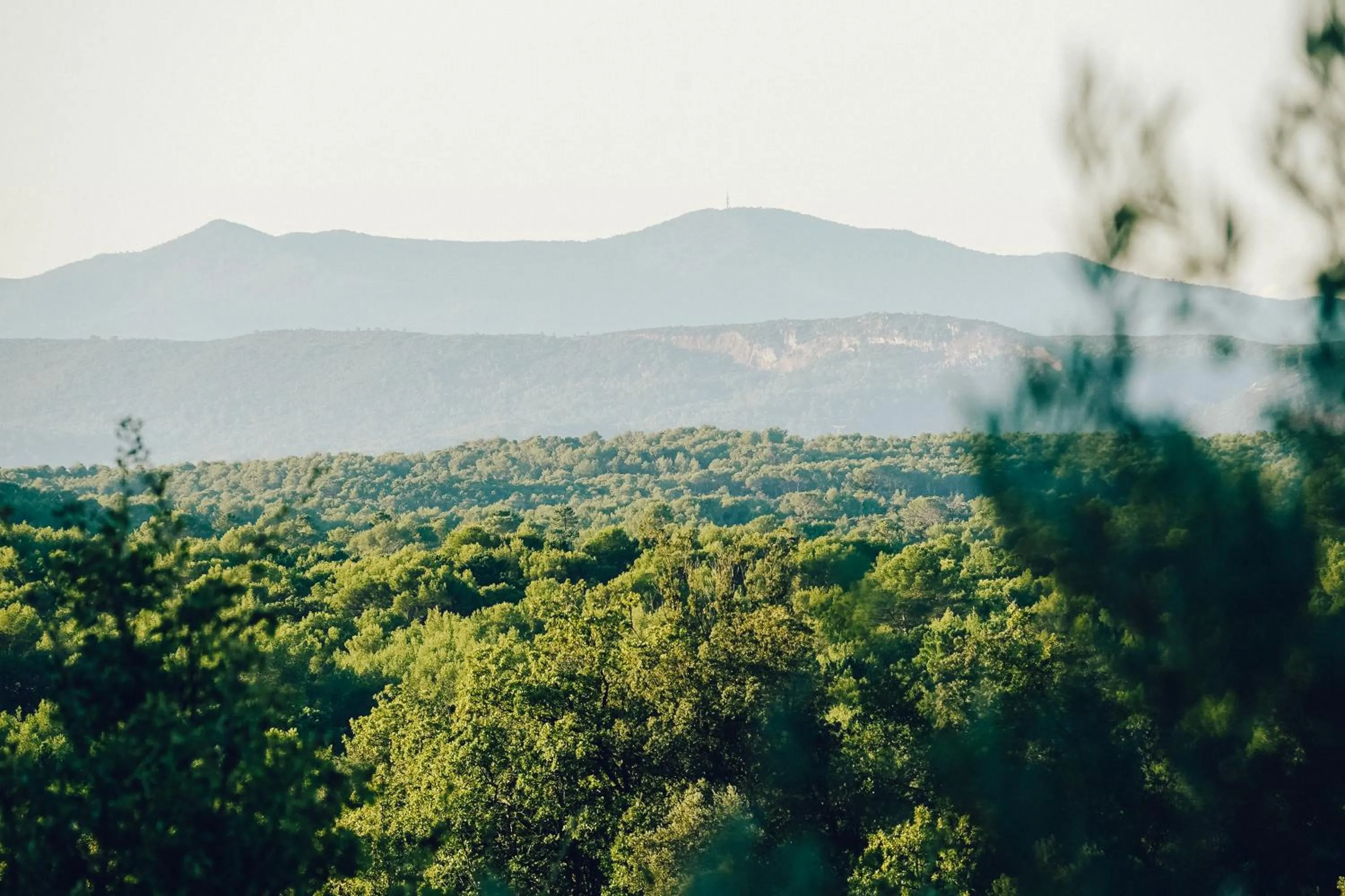 View (from property/room) in Domaine Monte Verdi