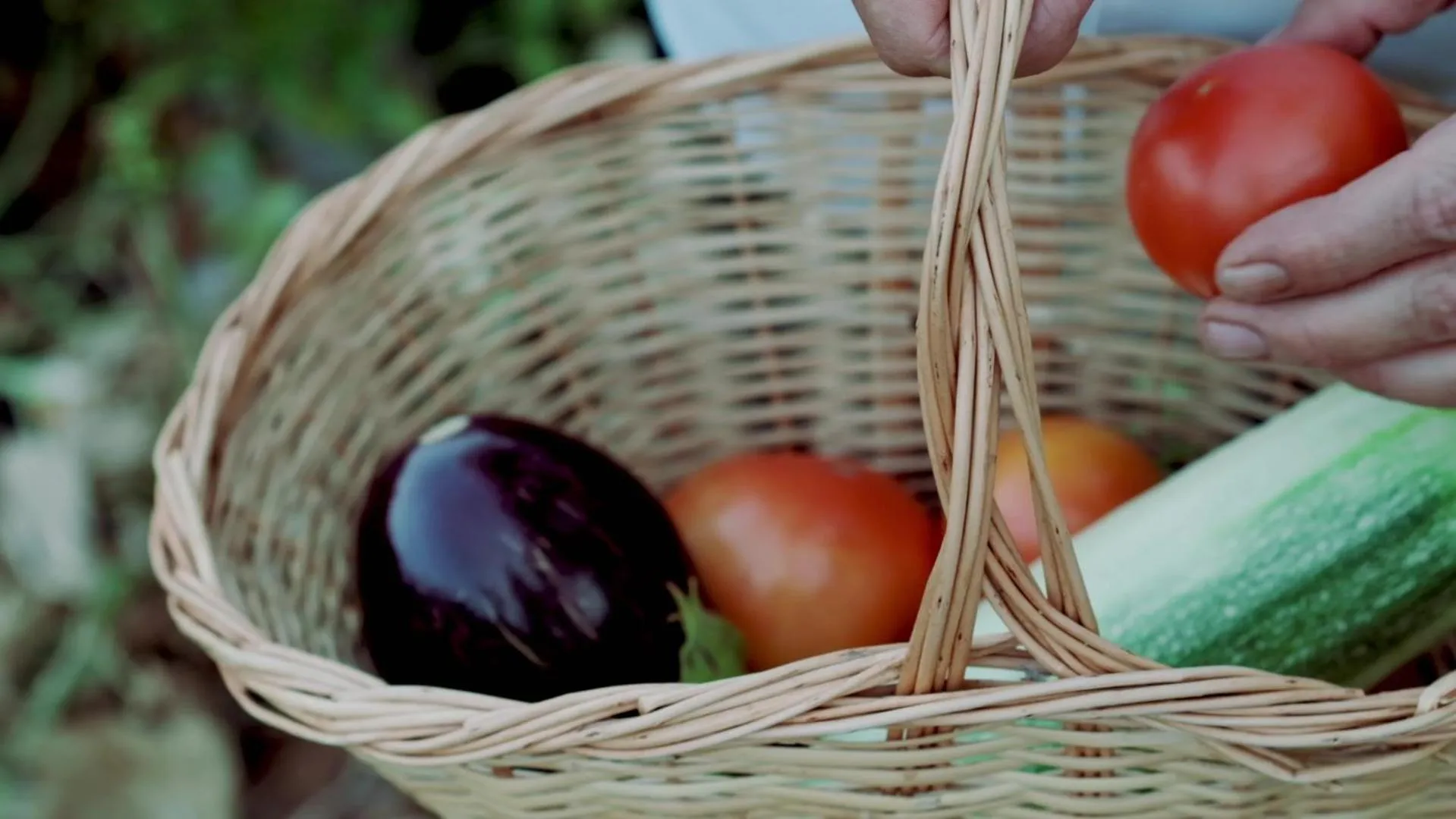 Food and drinks in Club Resort Atlantis