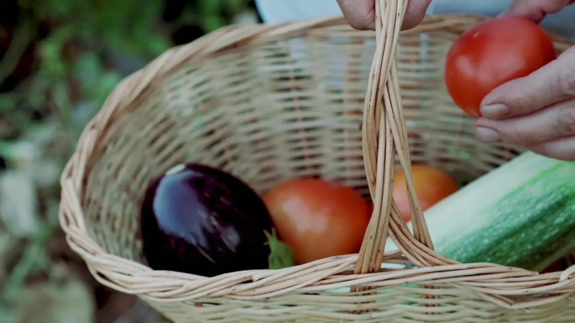 Food and drinks in Club Resort Atlantis Food and drinks in Club Resort Atlantis