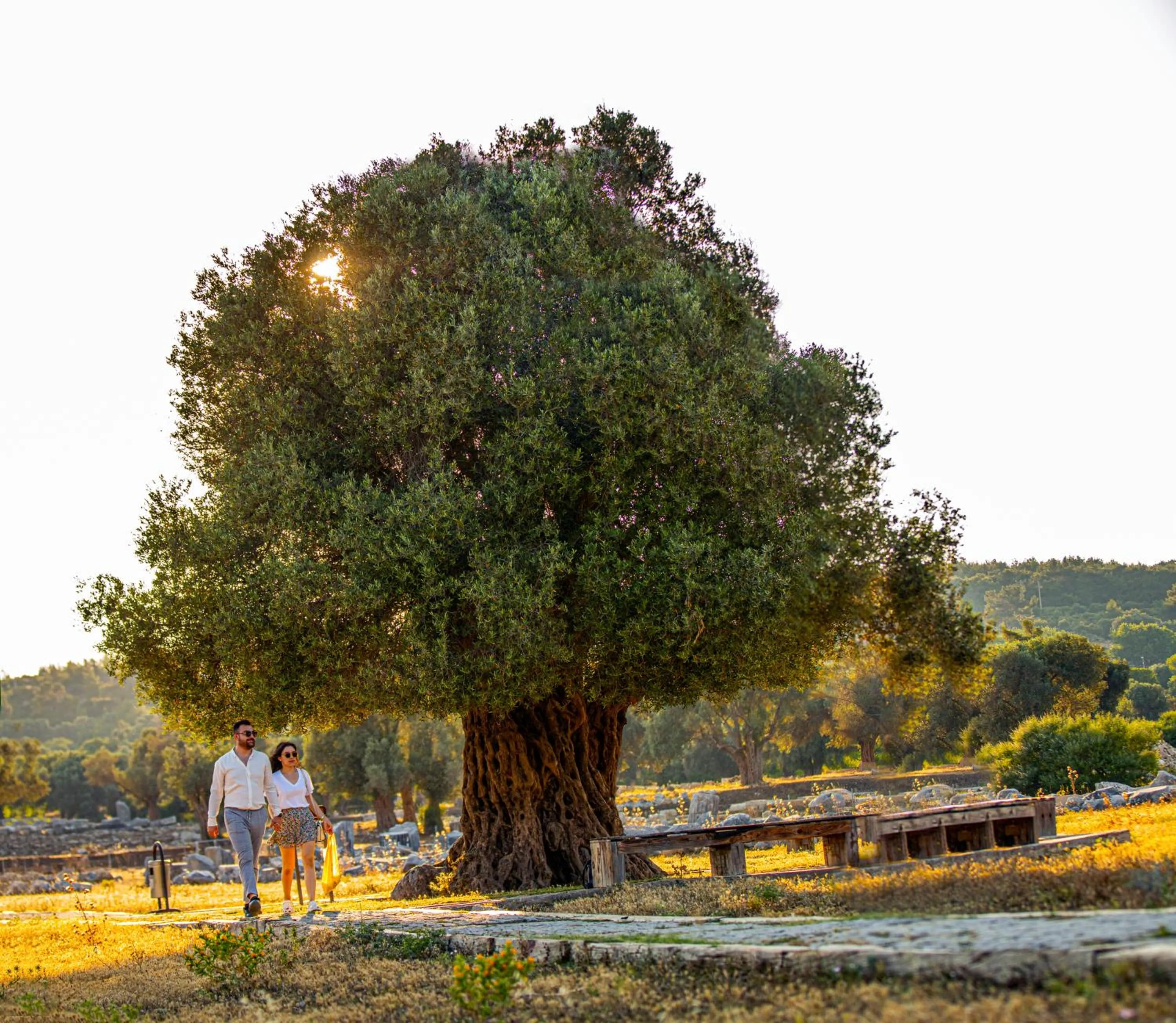 Nearby landmark in Club Resort Atlantis