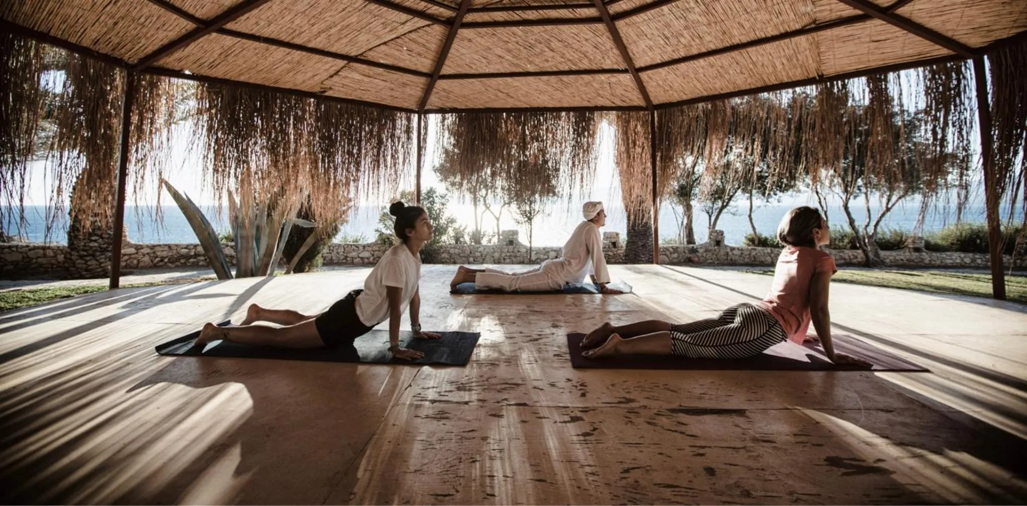 Garden in Club Resort Atlantis