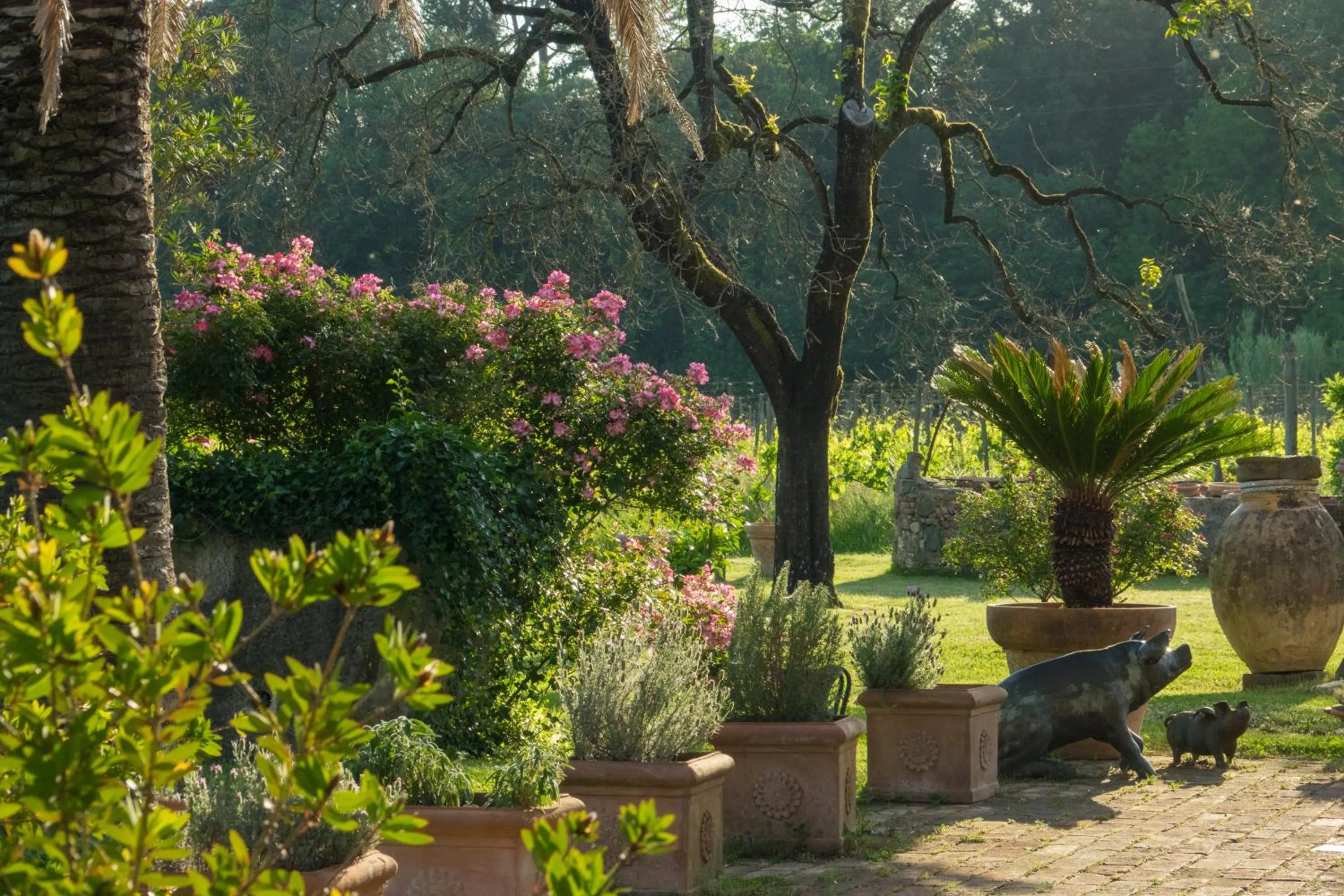 Garden in Resort La Ghiaia