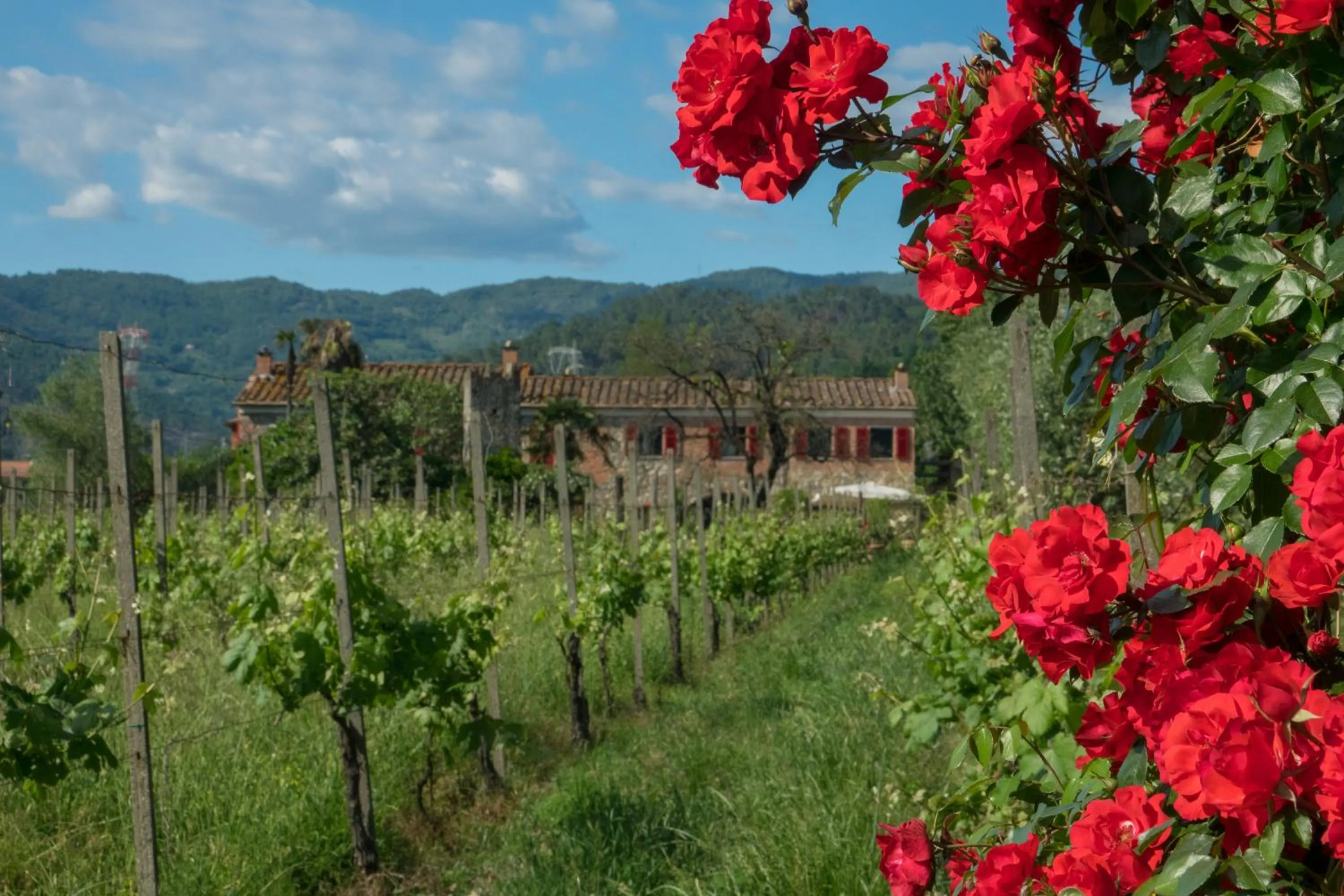 Natural landscape in Resort La Ghiaia