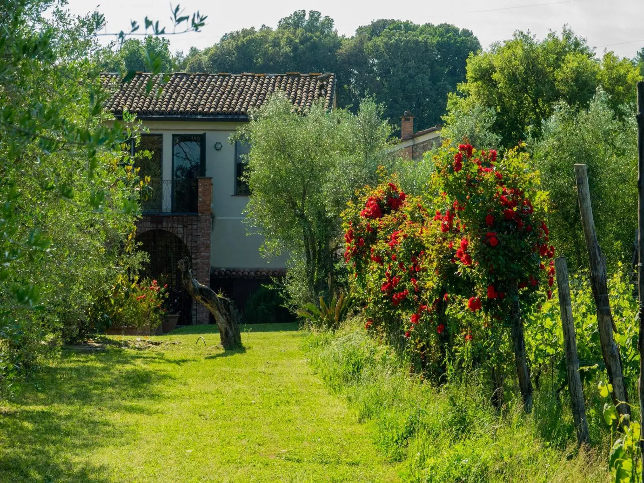 Suite in Resort La Ghiaia Suite in Resort La Ghiaia
