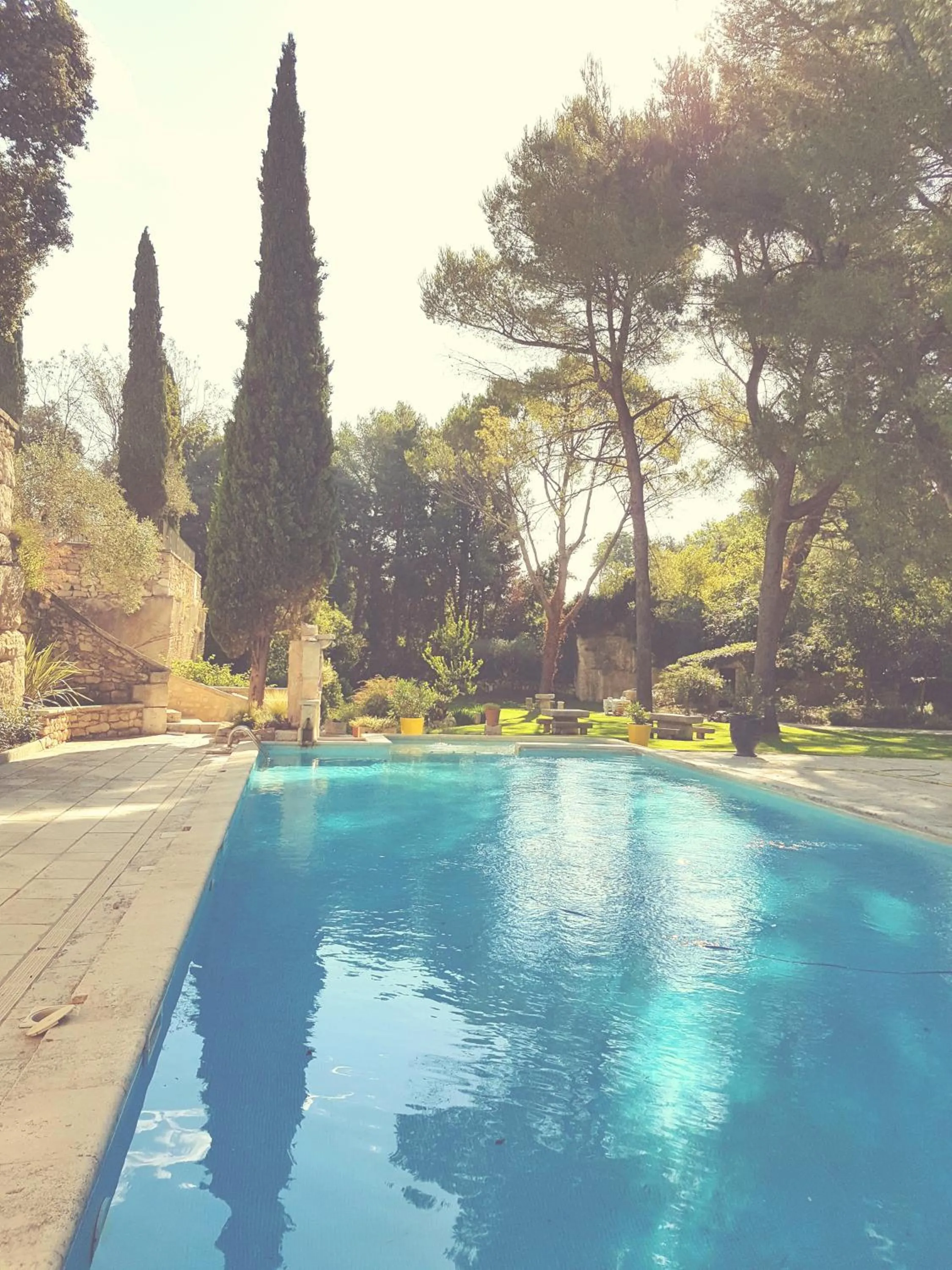 Garden in Hôtel Belesso
