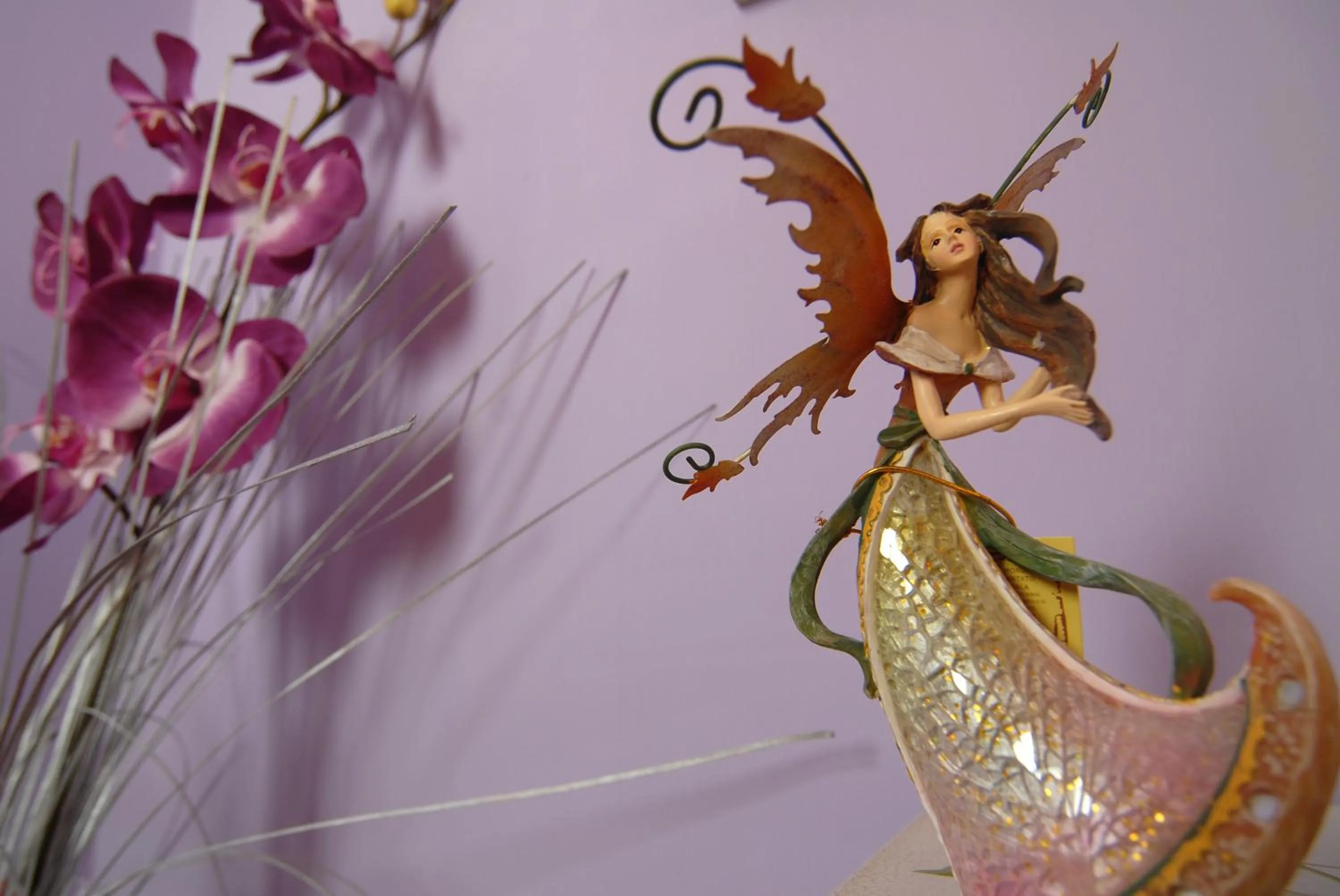 Other Activities in La Dimora Le Fumarole B&B