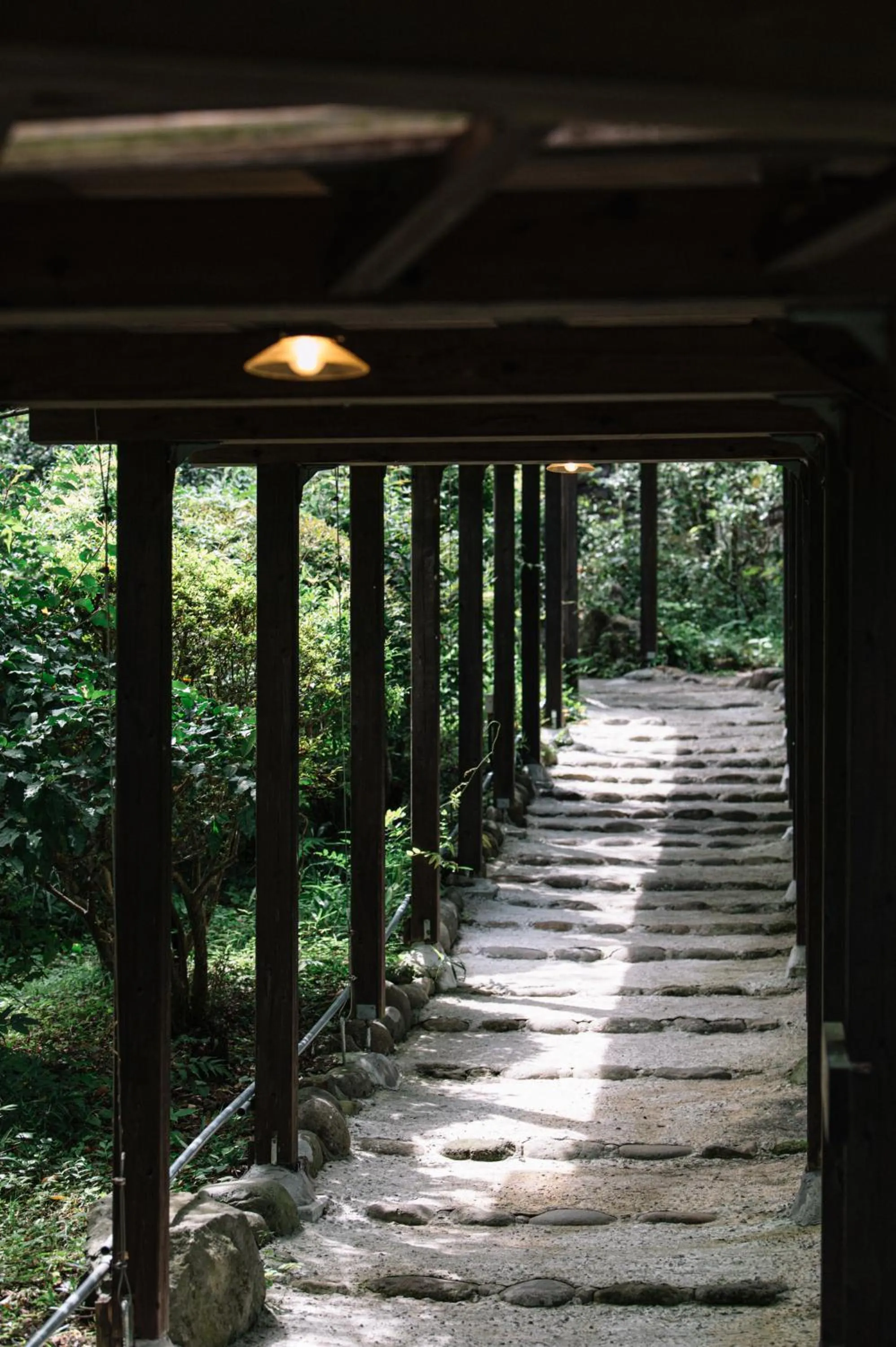 Property building in 山荘 紗羅樹 Syaranoki