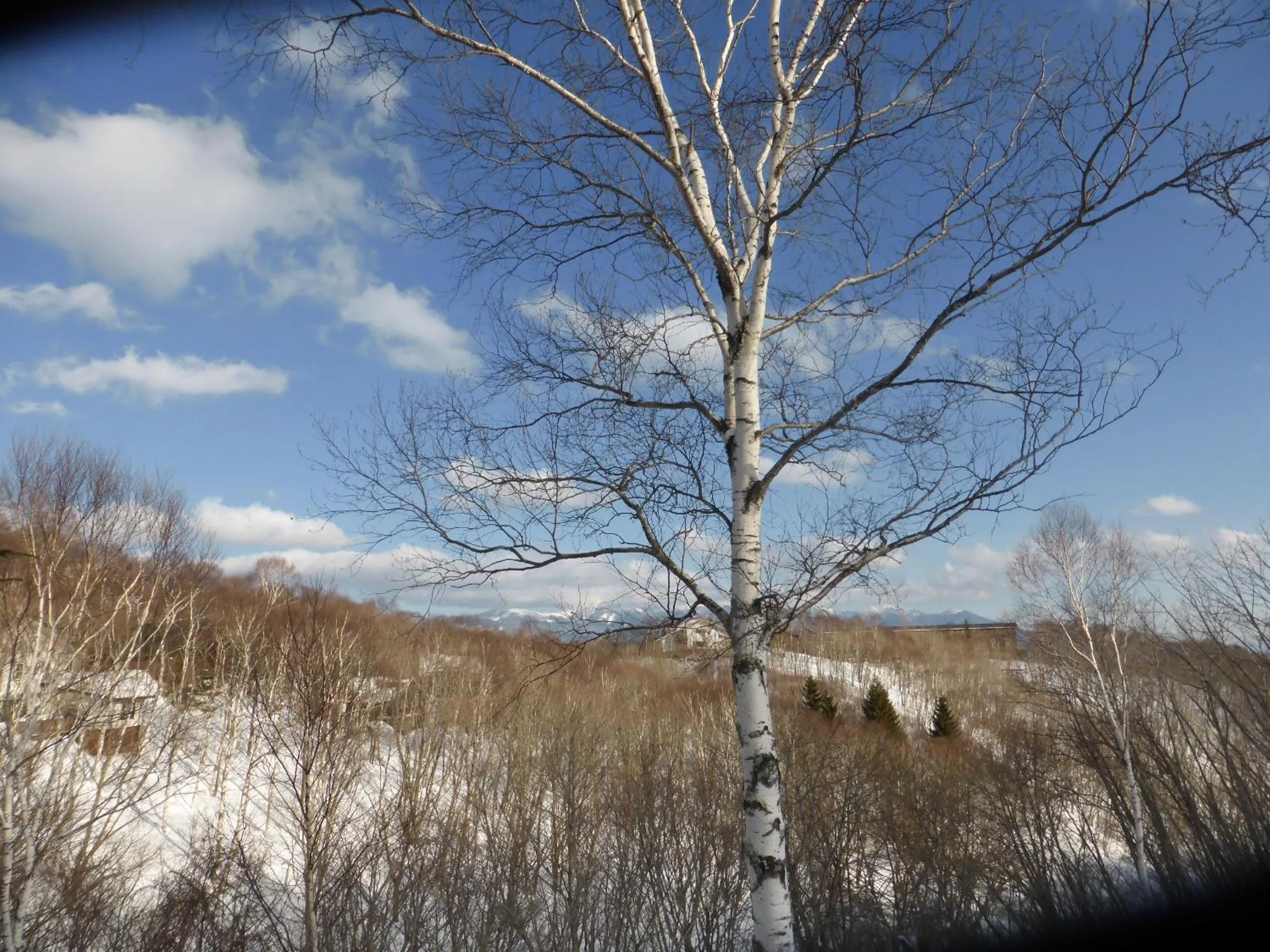 Natural landscape in Kurumayama Kogen Guesthouse Urara