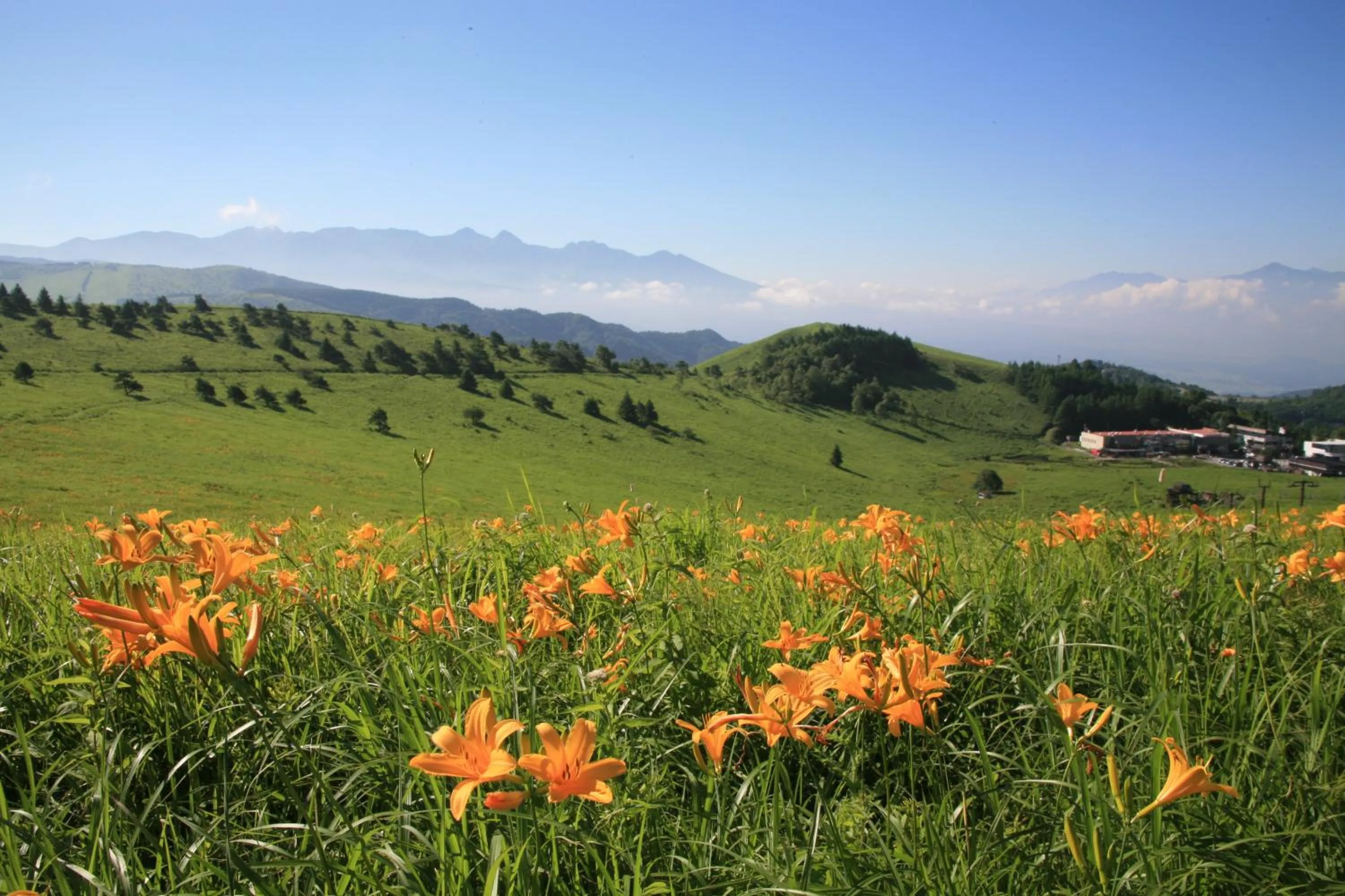 Natural landscape in Kurumayama Kogen Guesthouse Urara